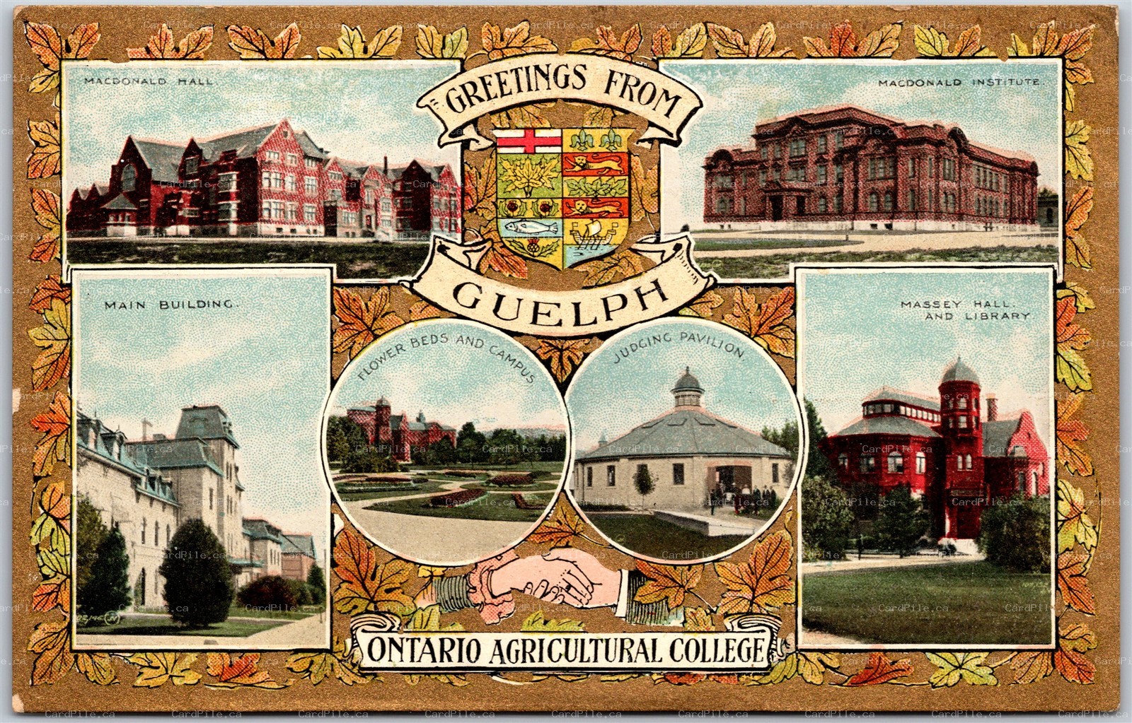 Postcard c1909 Greetings From Guelph Ontario Agricultural College Multi View