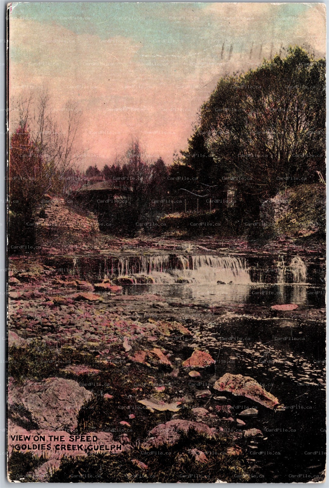 Postcard Guelph Ontario c1911 View On The Speed Goldie's Creek by Warwick