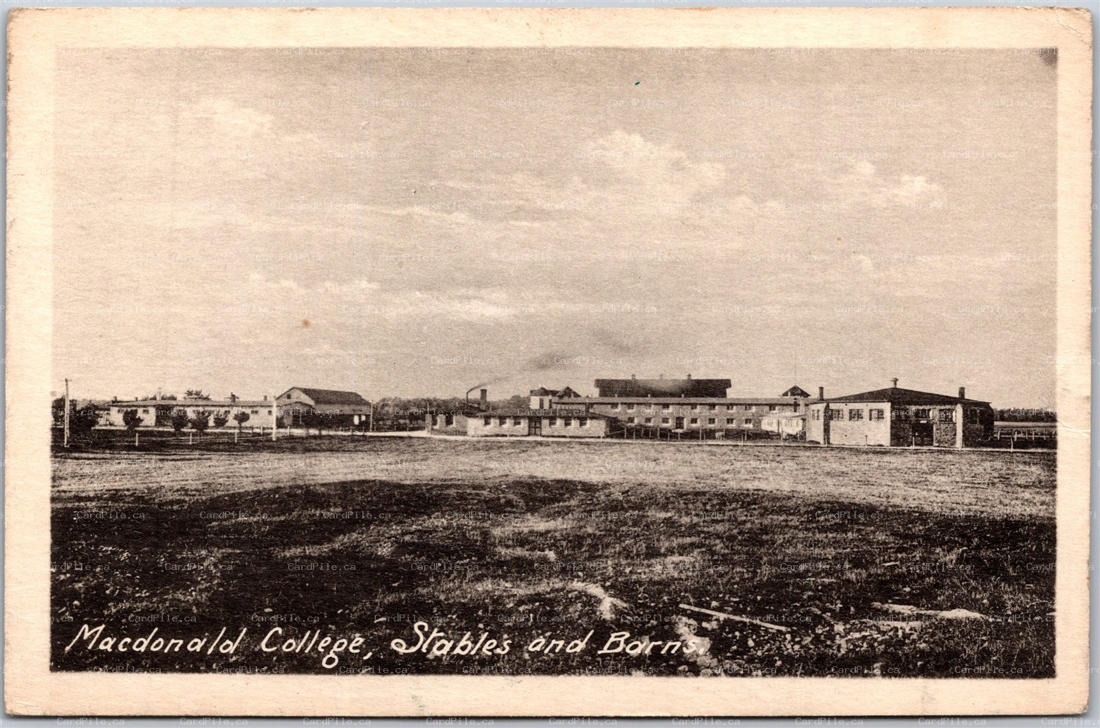 Postcard Guelph Ontario Macdonald College OAC Stables and Barns by Heliotype