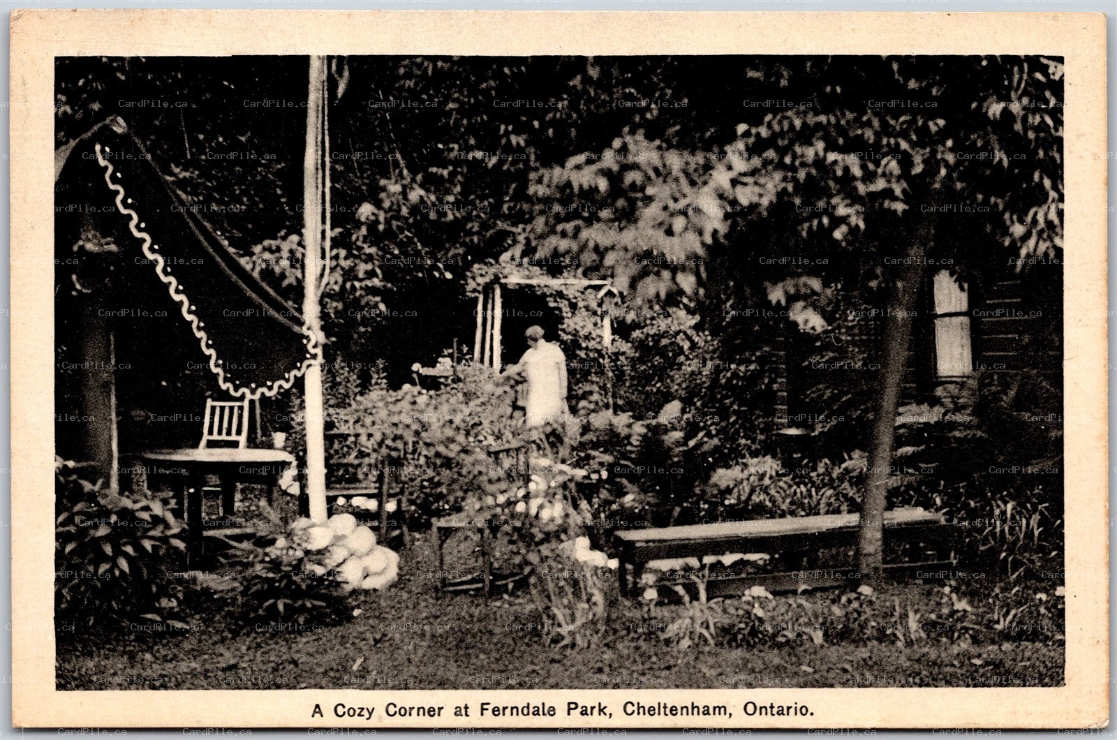 Postcard Cheltenham Ontario c1937 A Cozy Corner at Ferndale Park by J. E. Evans