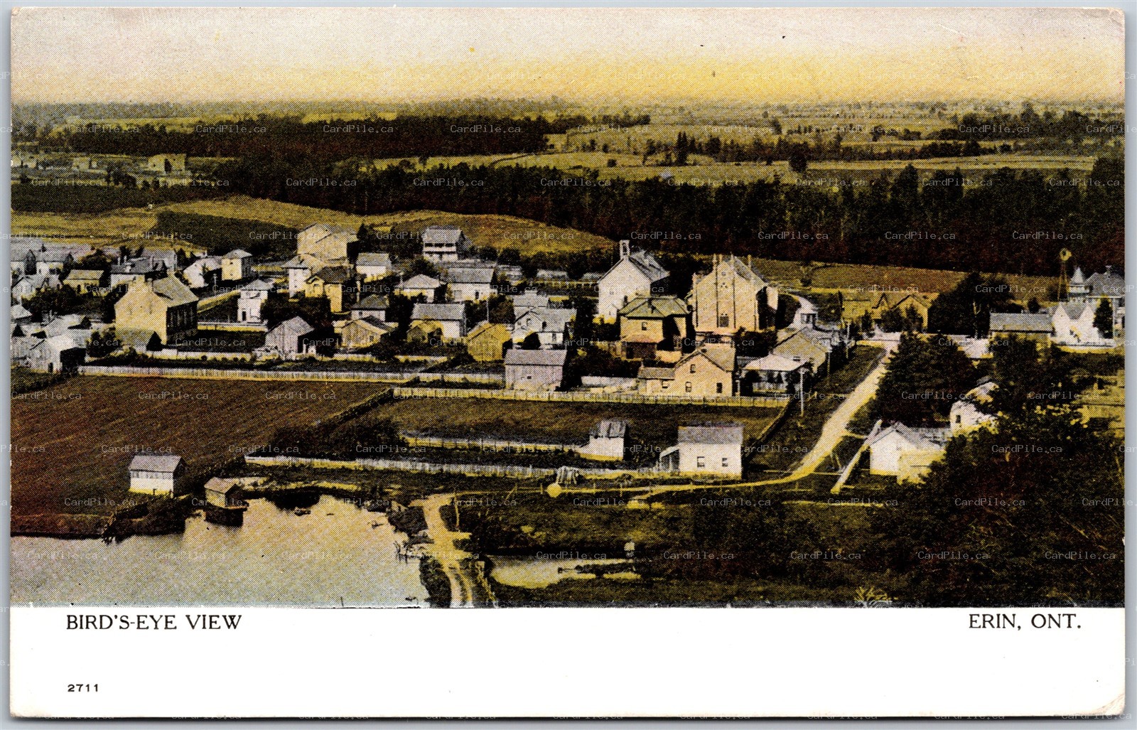 Postcard Erin Ontario c1907 Birds Eye View of Town Wellington County by Warwick