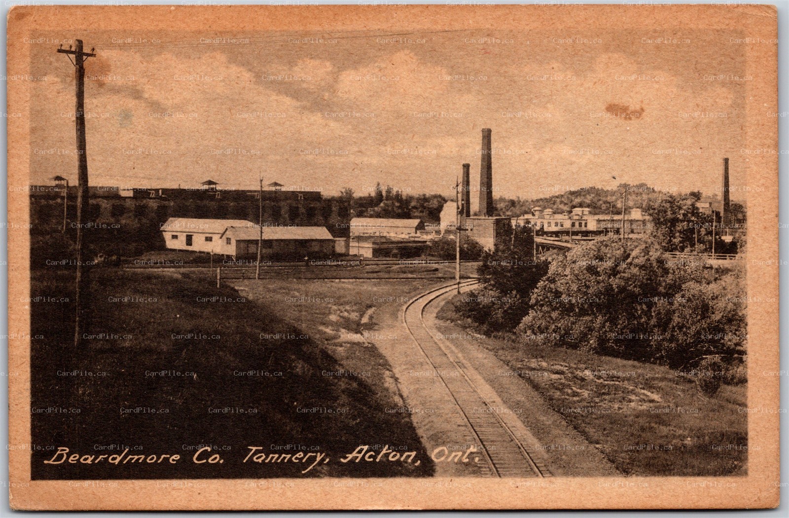 Postcard Acton Ontario 1910s Beardmore Co. Tannery Railroad Tracks Halton Region