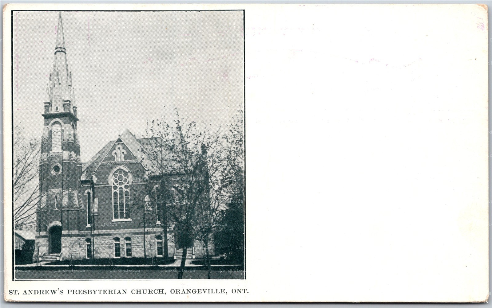Postcard Orangeville Ontario c1900s St. Andrews Presbyterian Church Dufferin Co.