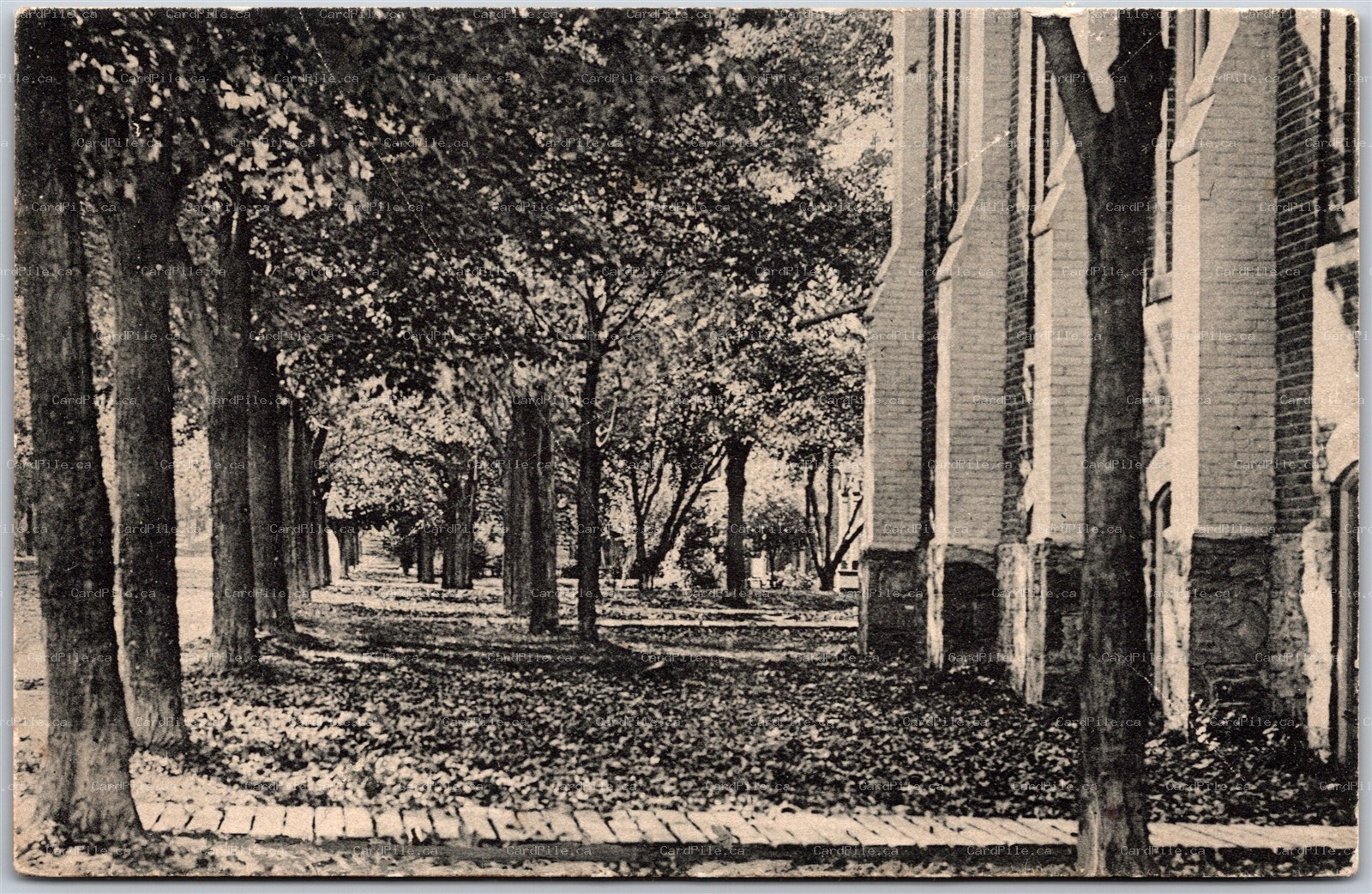 Postcard Orangeville Ontario c1914 Zina Street by R. O. Smith Dufferin County