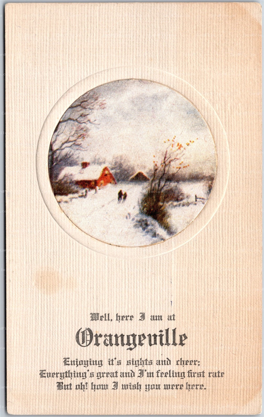 Postcard Ontario c1910s Here I Am In Orangeville Embossed Stedman Bros