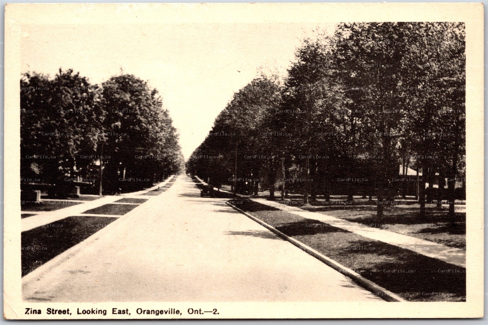 Postcard Orangeville Ontario 1930s Zina Street Looking East Dufferin Co. by PECO