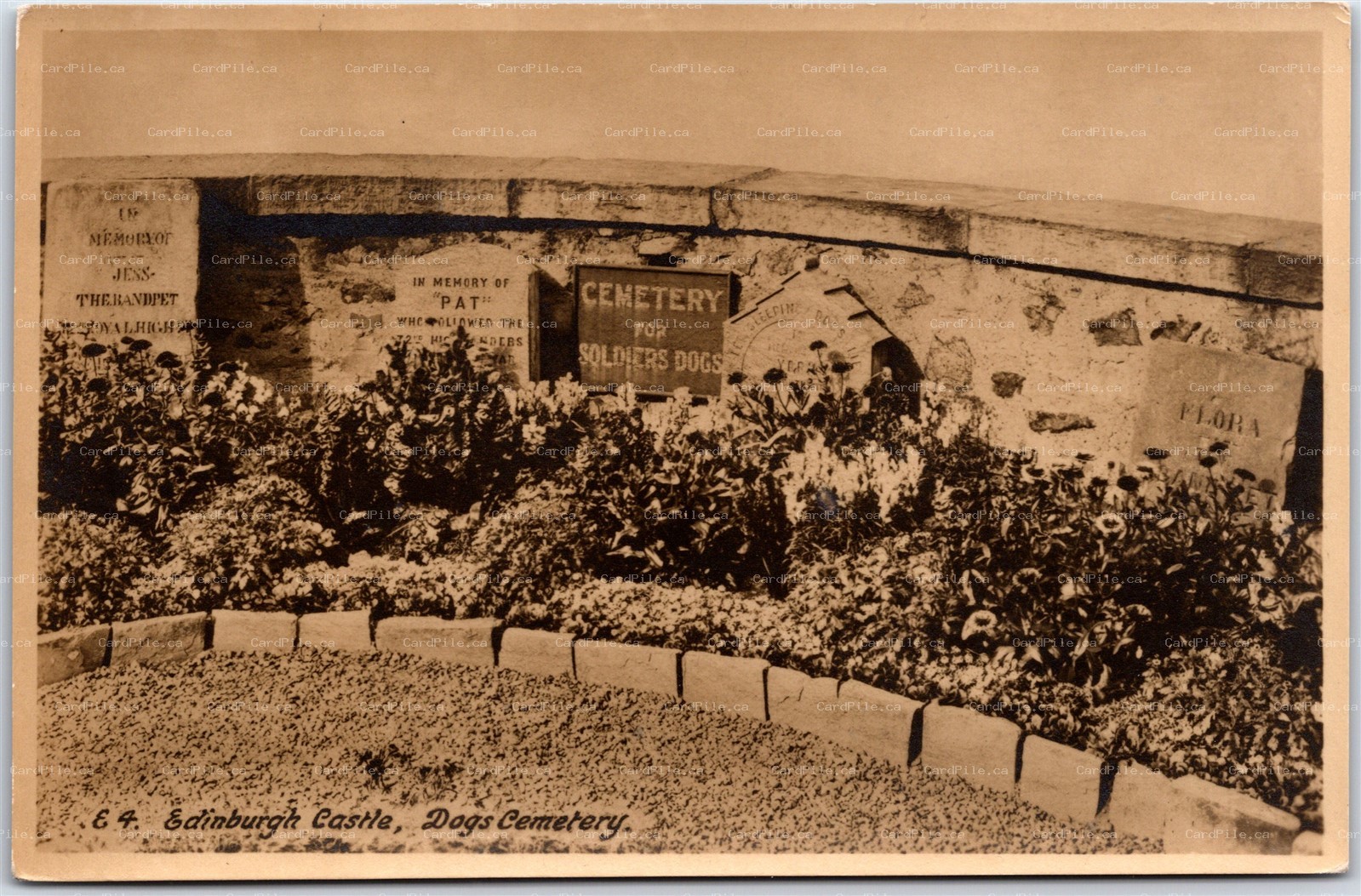 Postcard RPPC Edinburgh Scotland Cemetery for Soldiers Dogs