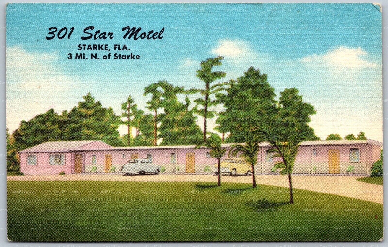 Postcard Starke Florida c1959 301 Star Motel Owners Mr + Mrs A Cassiato Old Cars