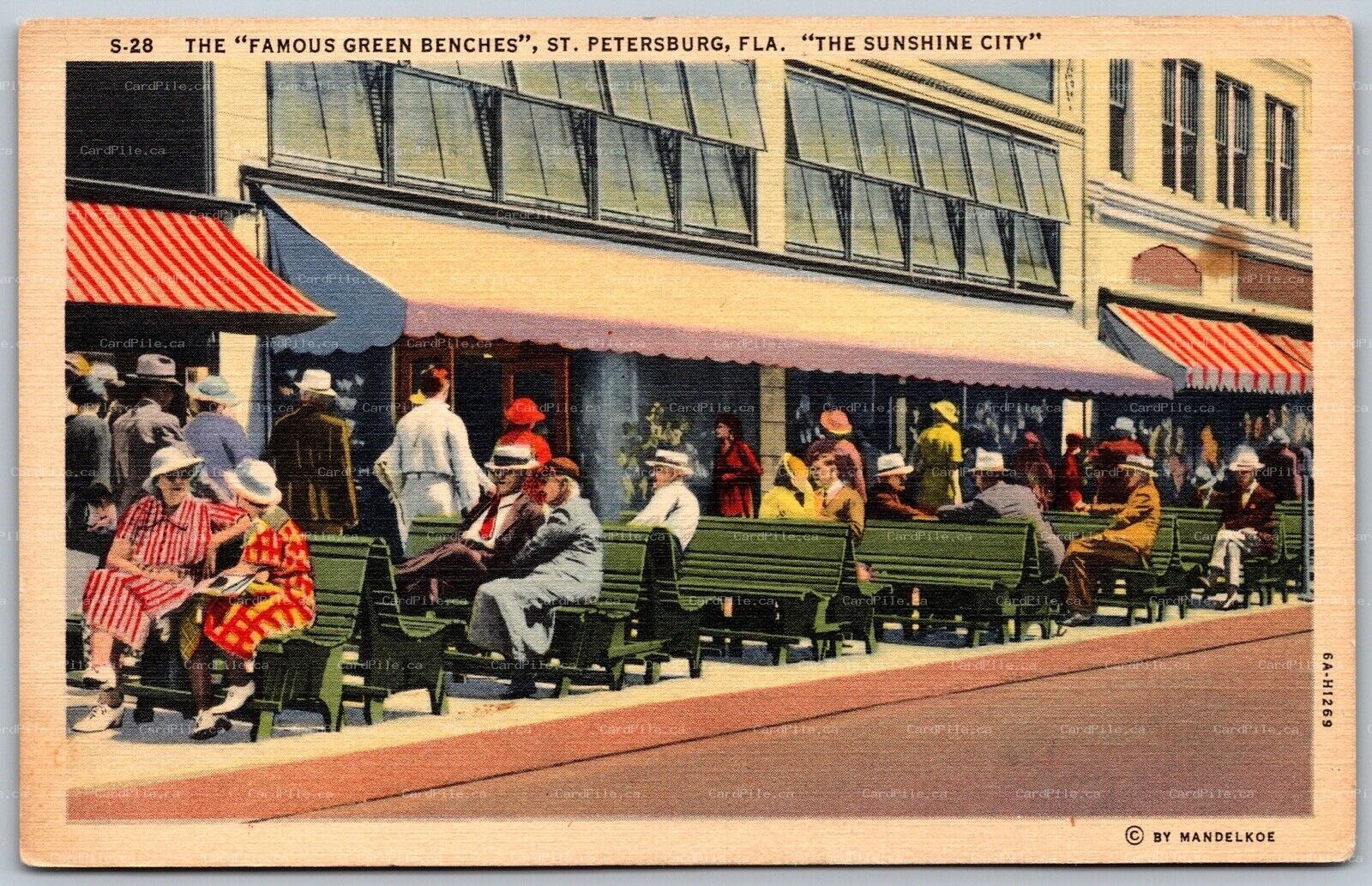 Postcard St. Petersburg Florida c1936 The Famous Green Benches Sunshine City