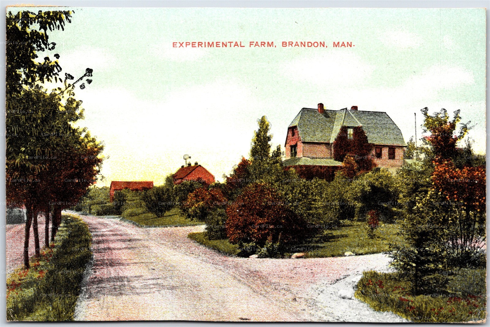 Postcard Brandon Manitoba c1910s Experimental Farm by Nerlich