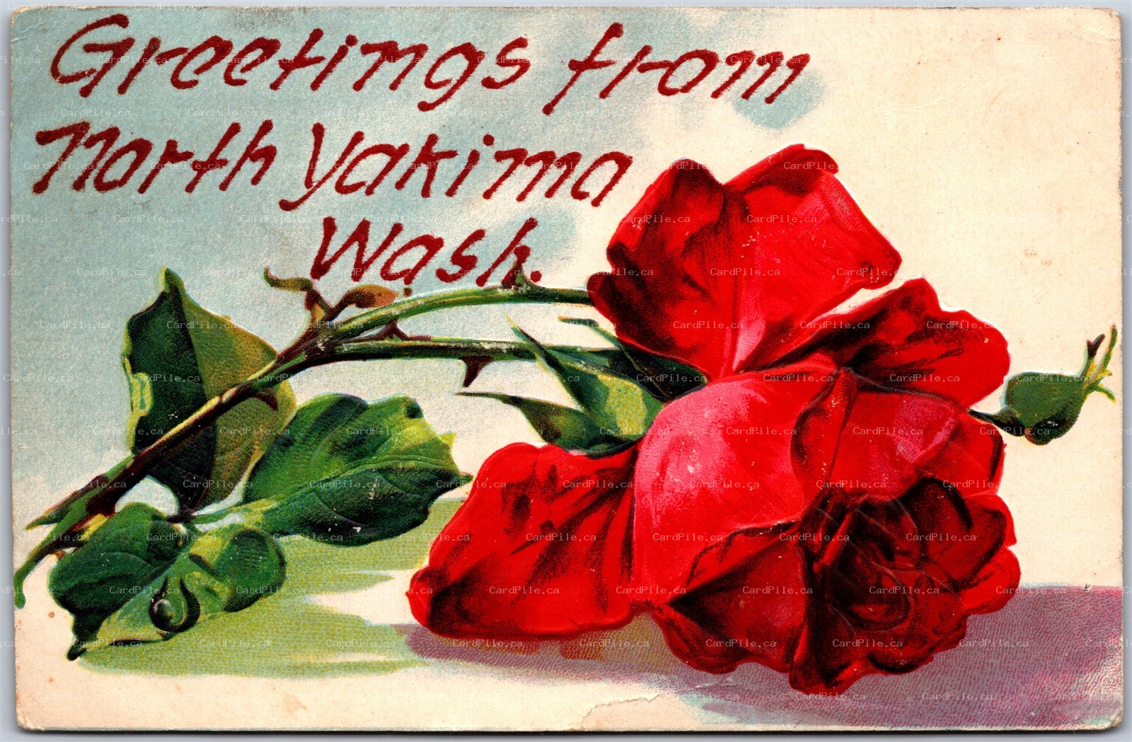 Postcard c1909 Greetings From North Yakima Washington Embossed by S. Langsdorf