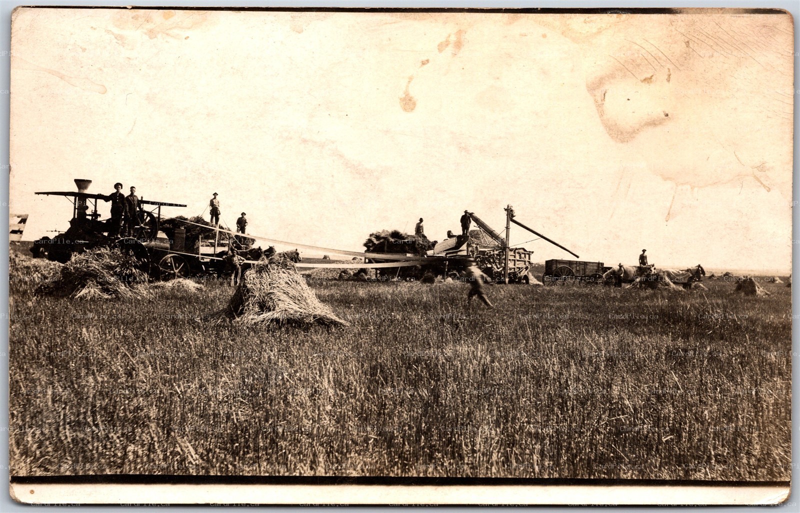 Postcard RPPC c1910s Farming Machinery Wheat Threshing Western Canada? 
