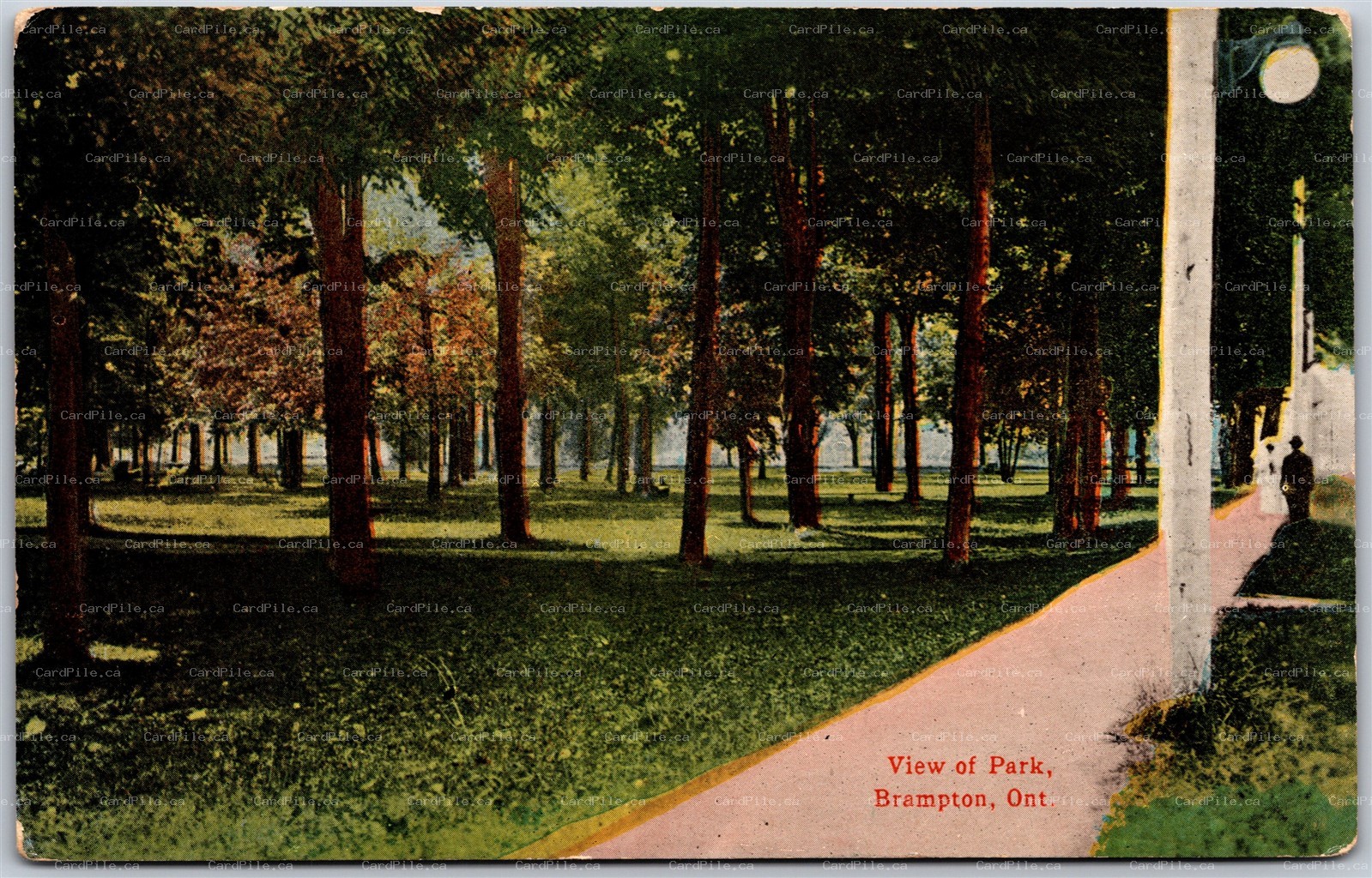 Postcard Brampton Ontario c1910s View of Park by Brampton Fair Peel Region