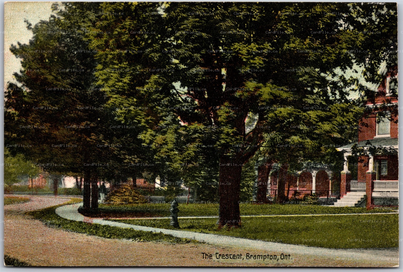 Postcard Brampton Ontario c1910s The Crescent Fire Hydrant Peel Region