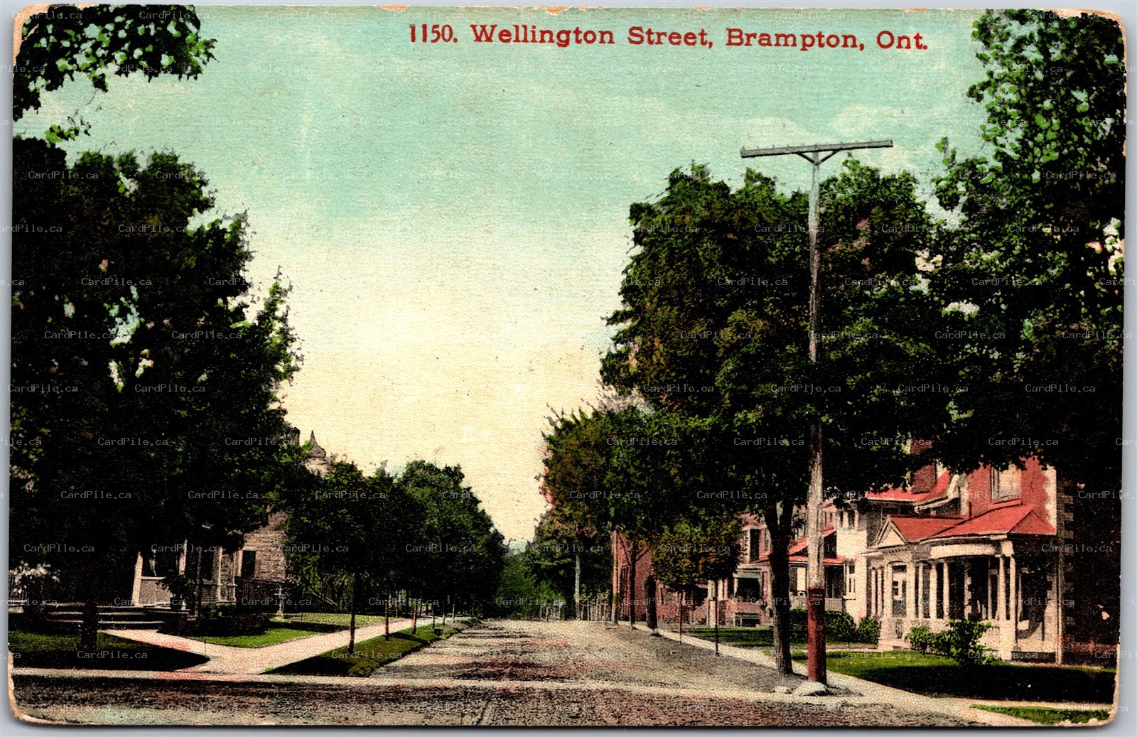 Postcard Brampton Ontario c1908 Wellington Street Peel County by Stedman Bros