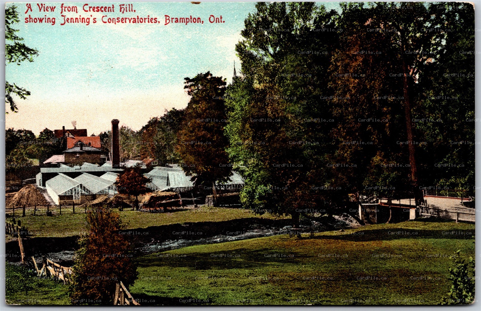 Postcard Brampton ONT View From Crescent Hill Showing Jennings Conservatories