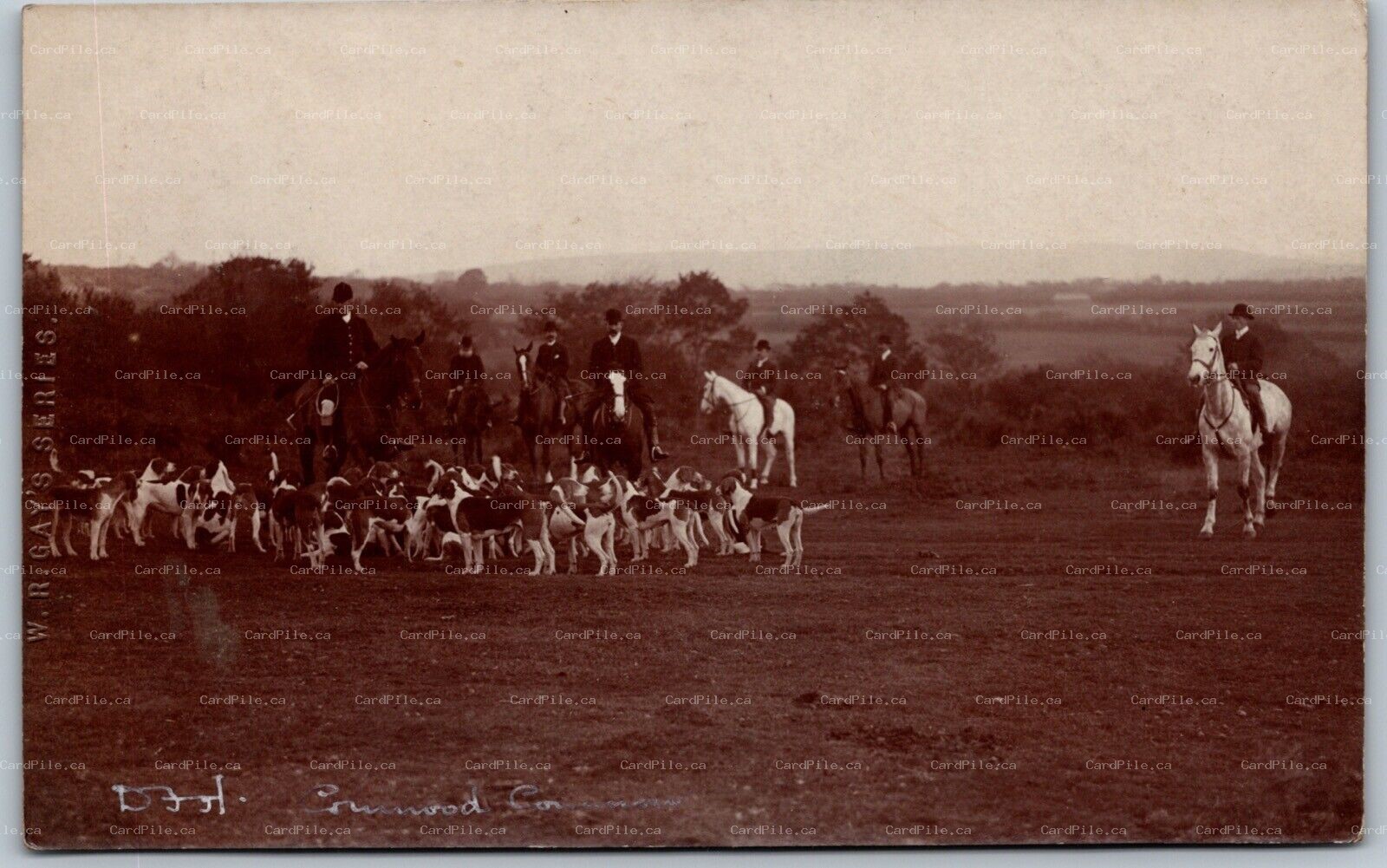 Postcard RPPC c1908 Cornwood UK Heathfield Fox Hunting Beagles Horses W. R. Gay