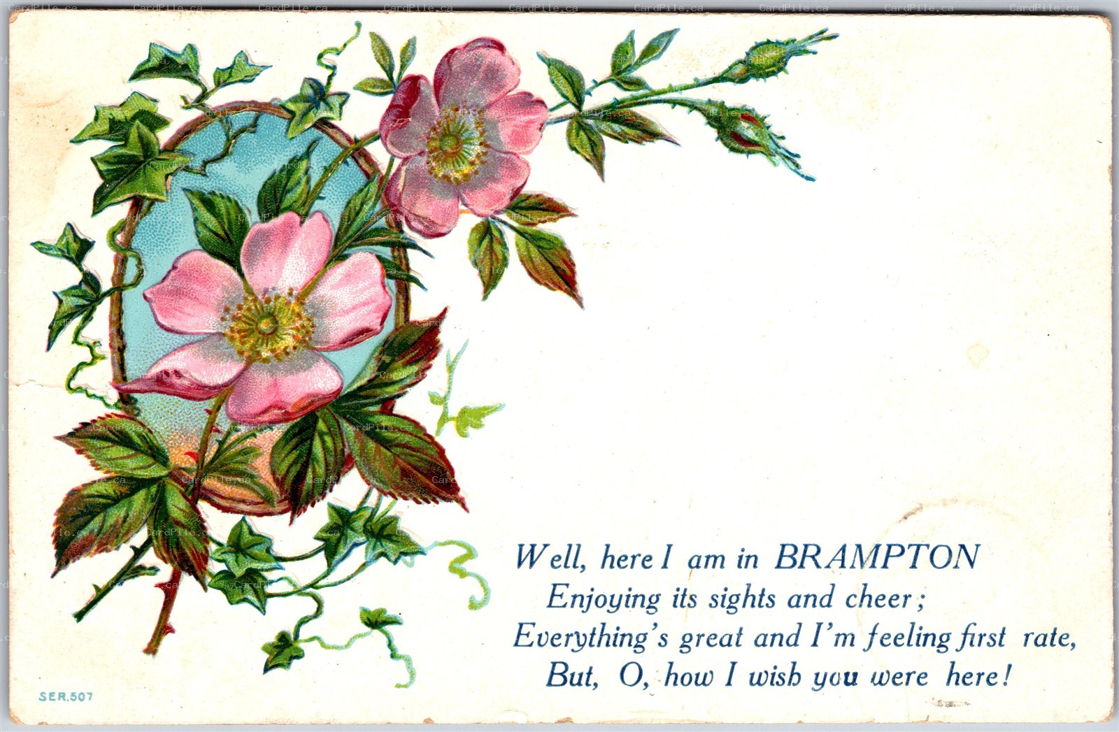 Postcard Brampton Ontario c1909 Embossed Floral "Here I am"
