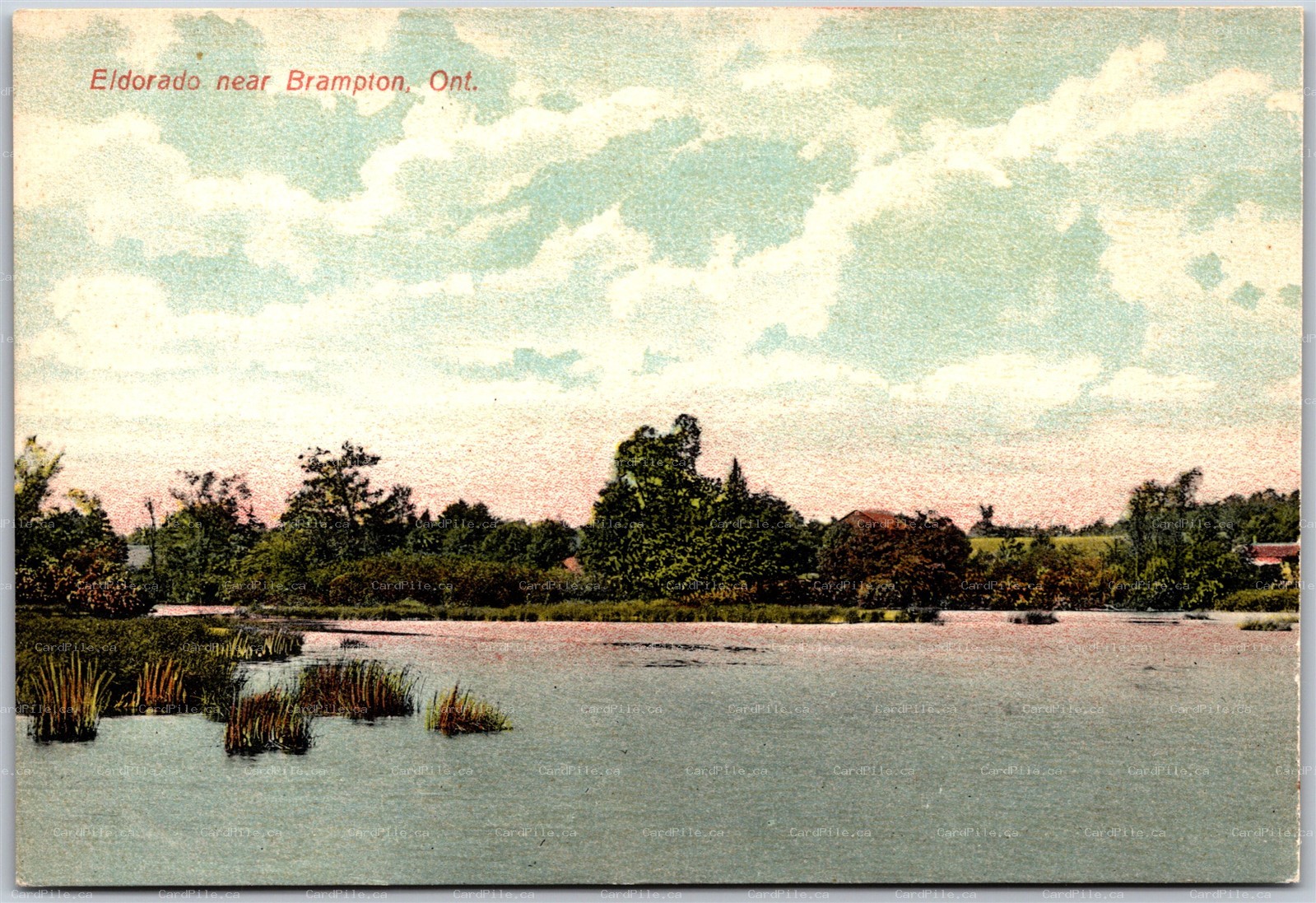 Postcard Brampton Ontario 1910s Eldorado Scenic River View Peel Region