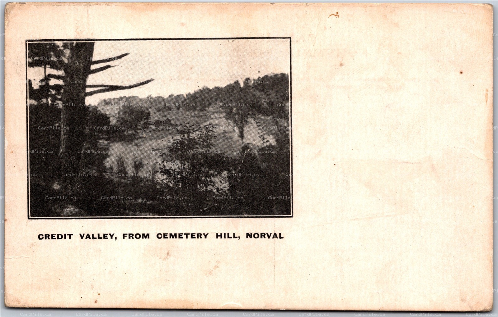 Postcard Norval Ontario Credit Valley From Cemetery Hill Halton Region