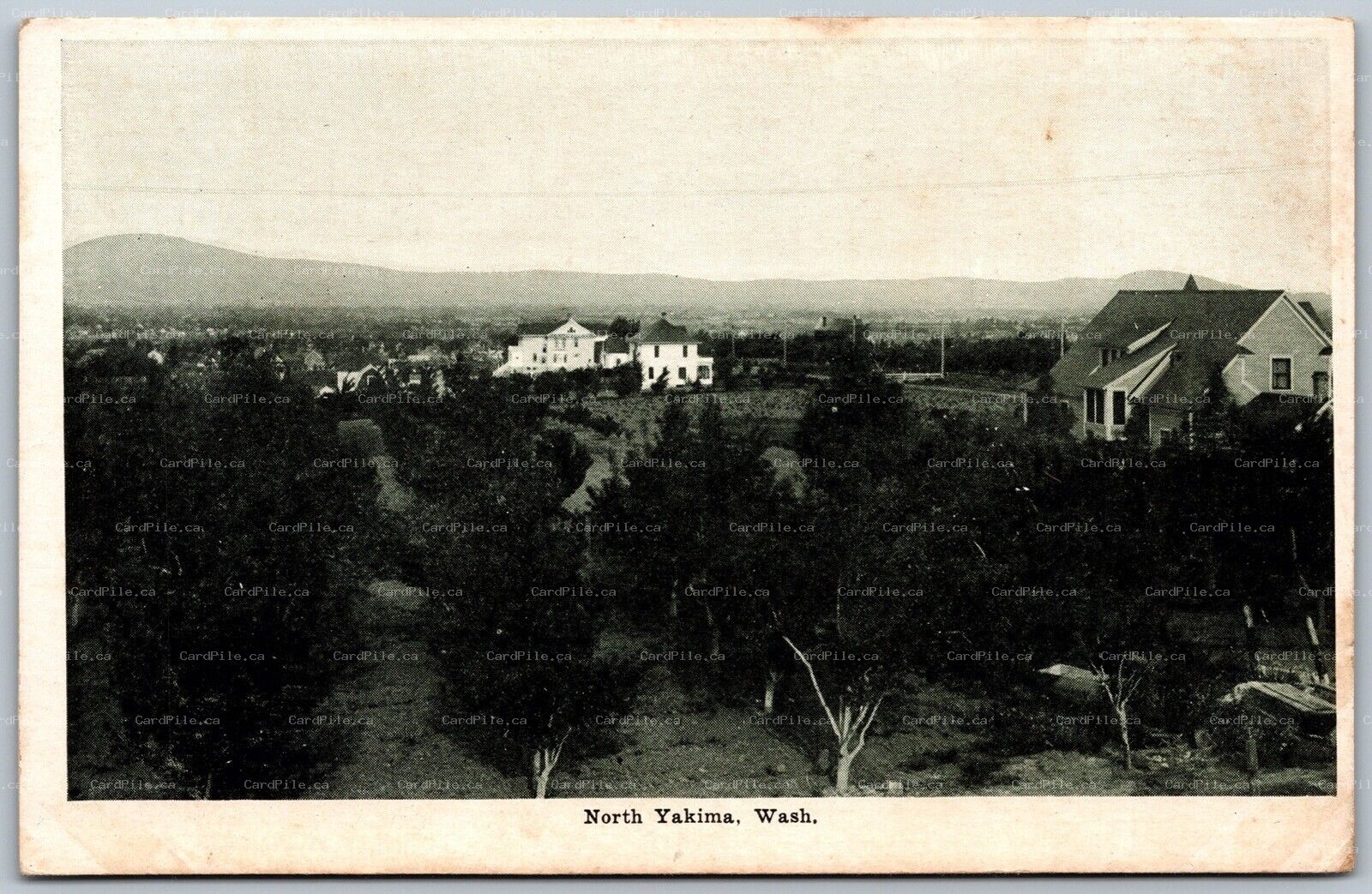 Postcard North Yakima Washington c1905 View of Town 
