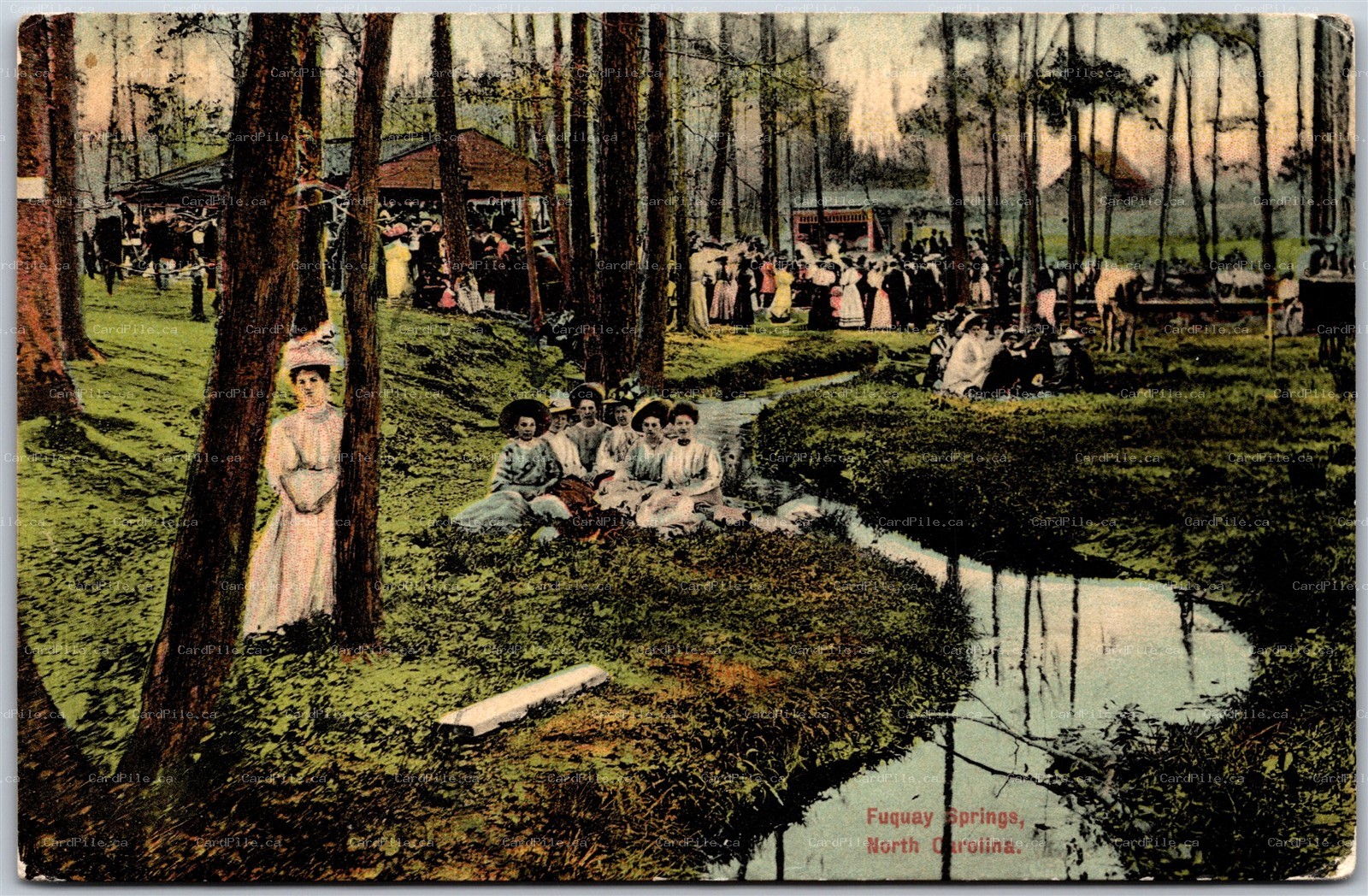 Postcard Fuquay Springs North Carolina c1910s Scenic View Wake County