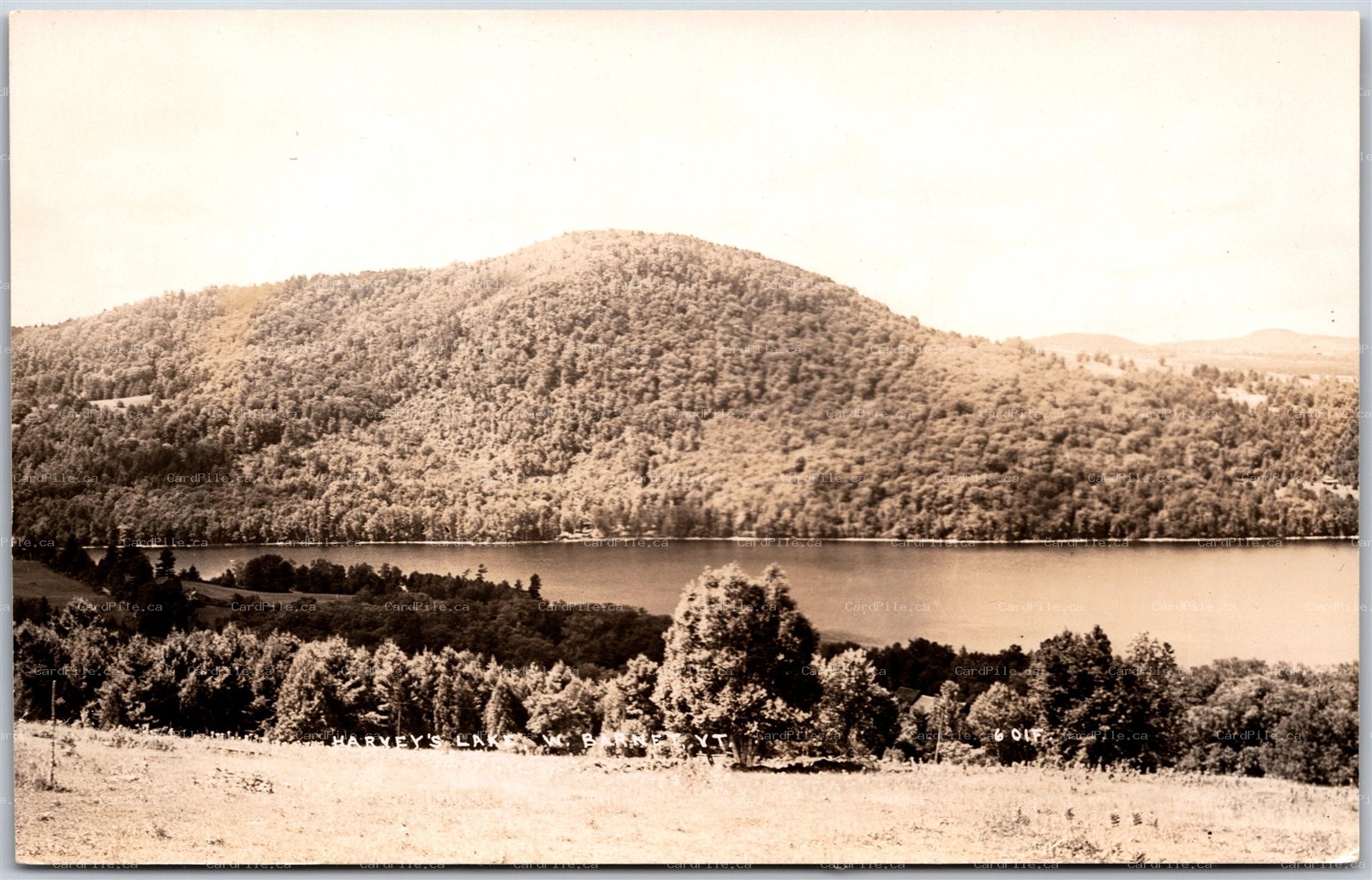 Postcard RPPC West Barnet Vermont Scenic View Harvey's Lake