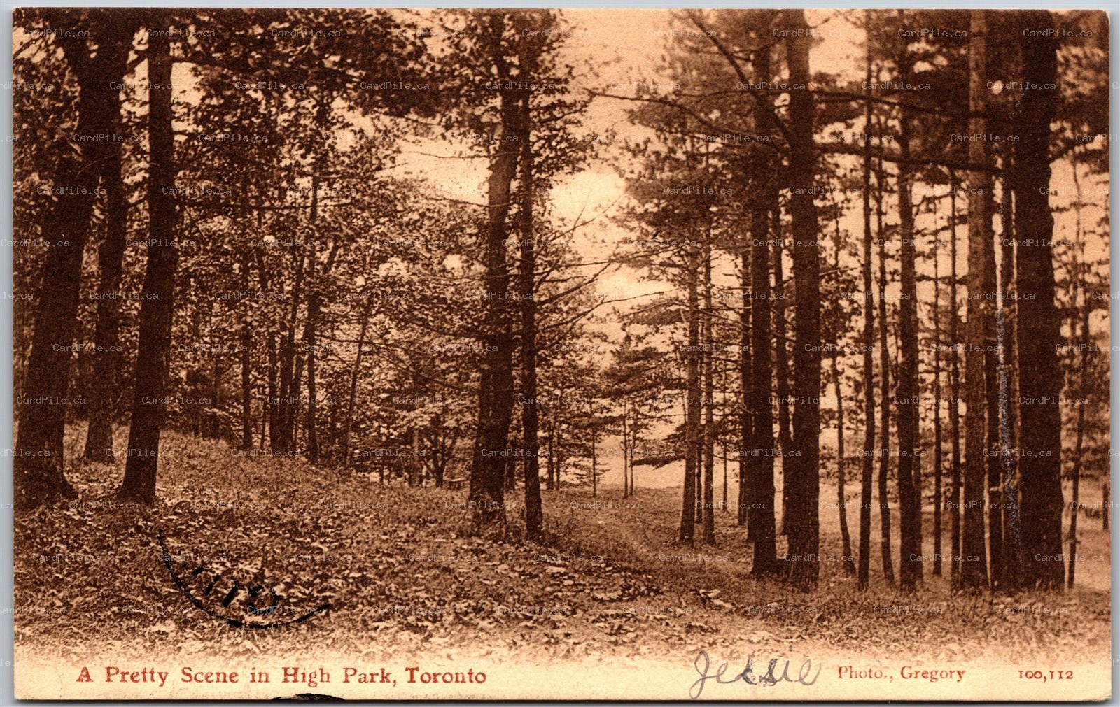 Postcard Toronto Ontario c1907 A Pretty Scene in High Park ORB & Split Ring