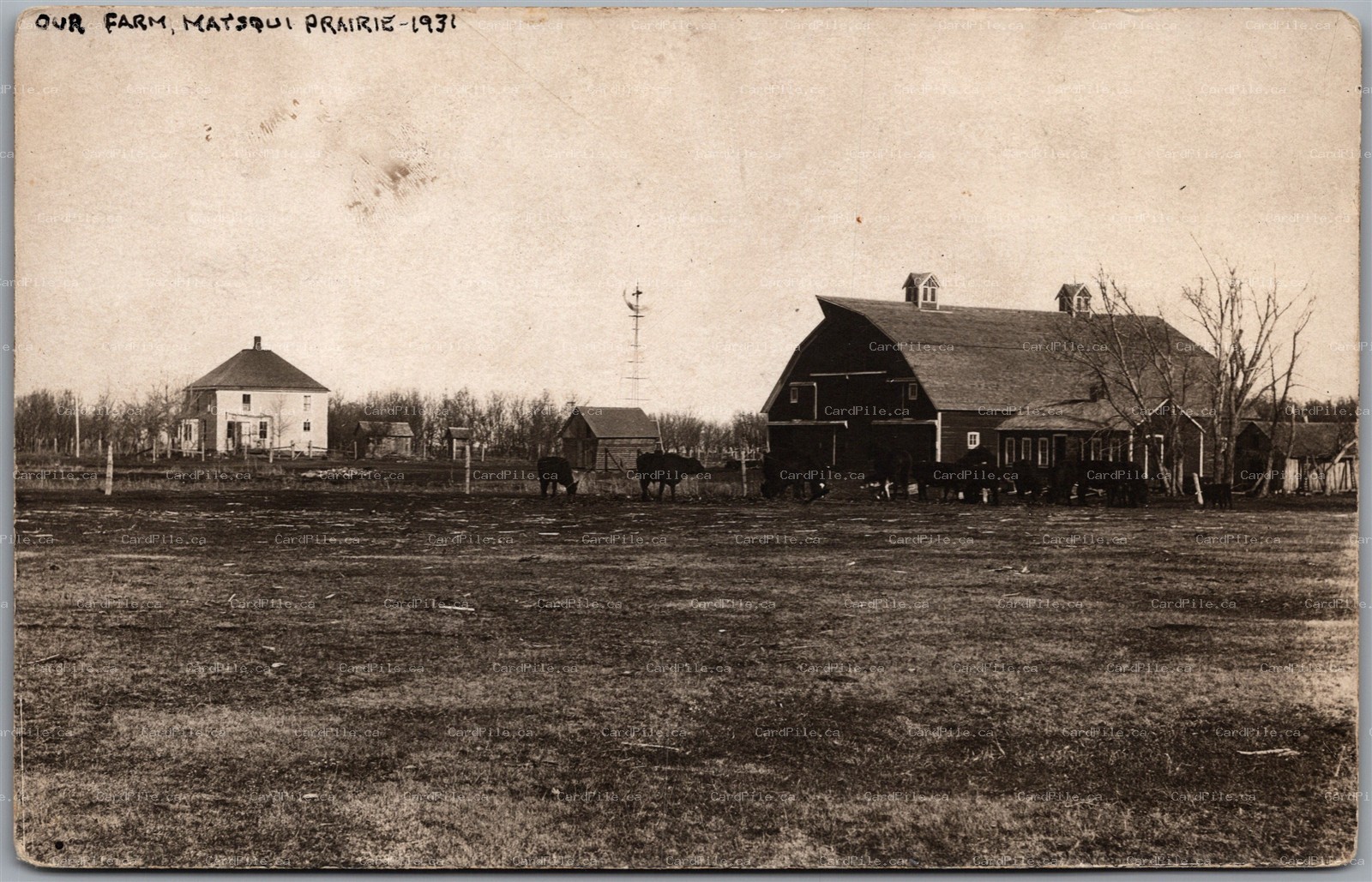 Postcard RPPC c1931 Matsqui Prairie British Columbia Farm View