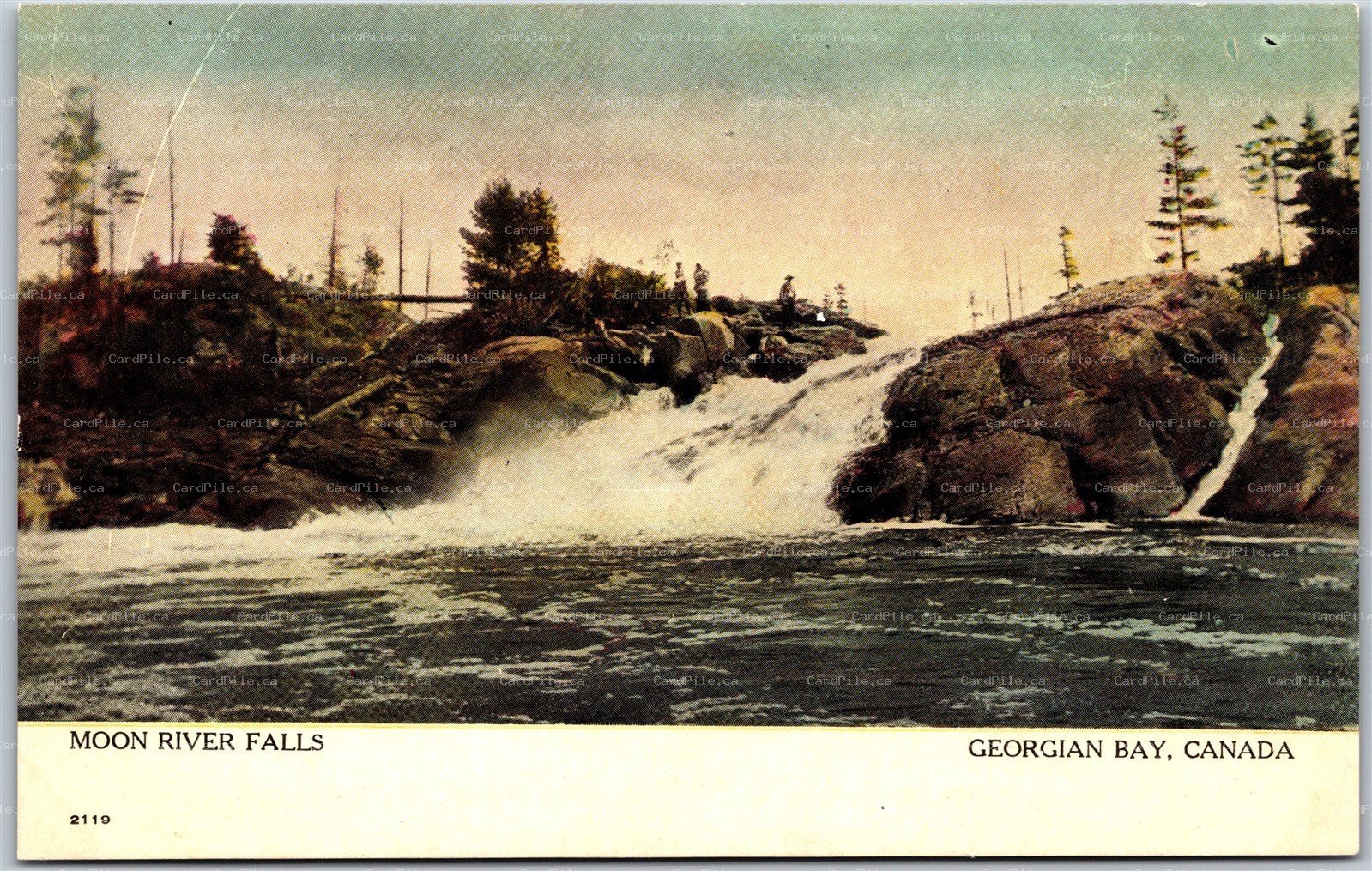 Postcard Georgian Bay Ontario c1910s Moon River Falls Scenic View by Warwick B