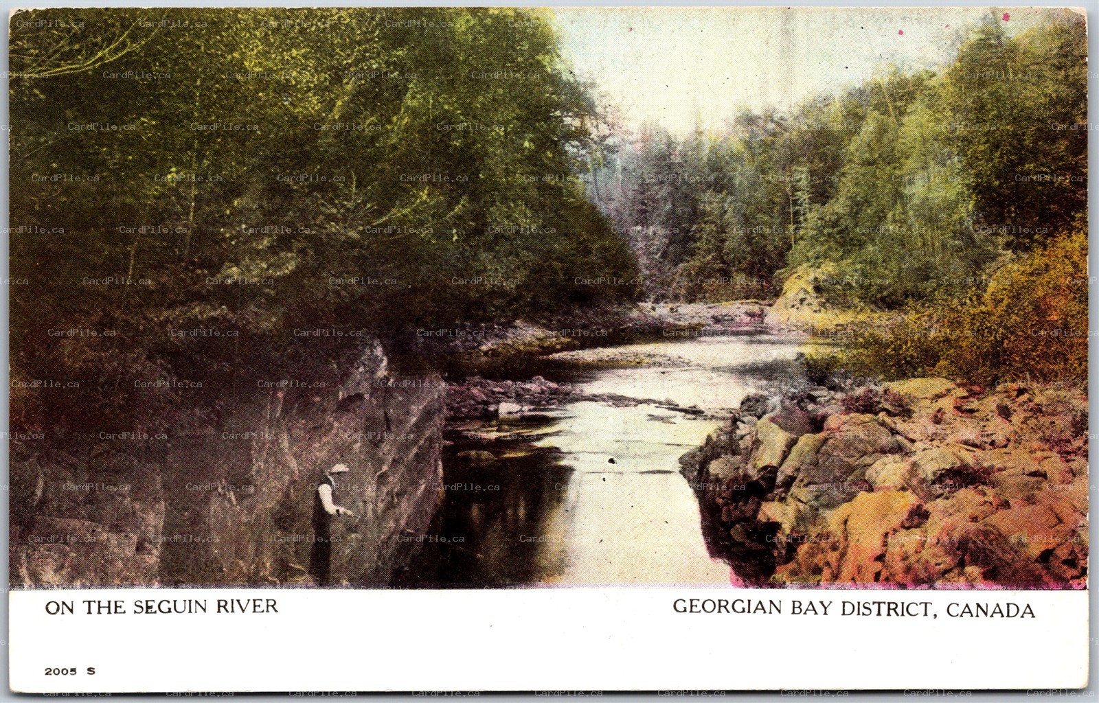 Postcard Georgian Bay Ontario c1910s On The Seguin River Scenic View by Warwick