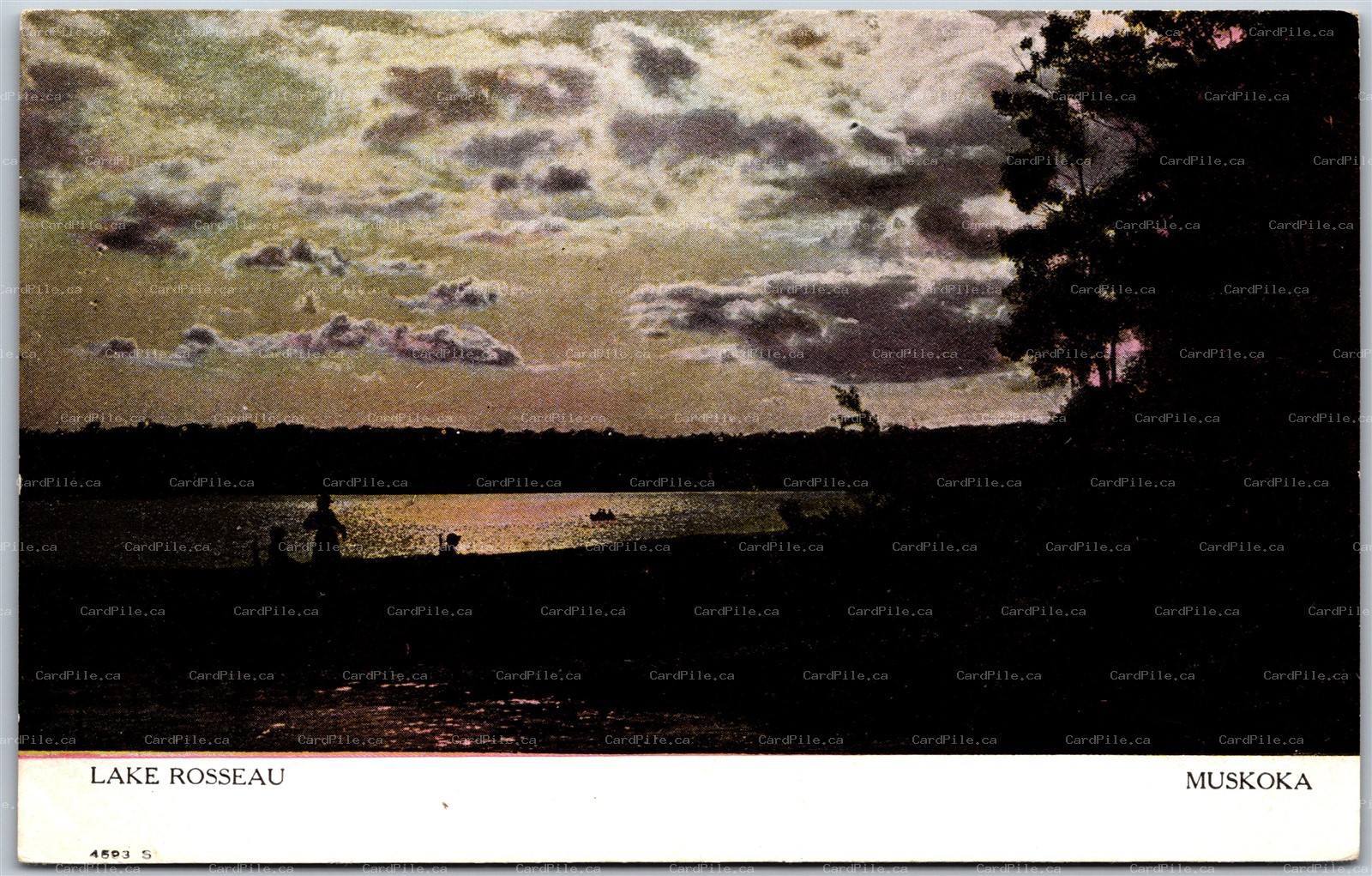 Postcard Muskoka Ontario c1910s Lake Rosseau Scenic Sunset View by Warwick