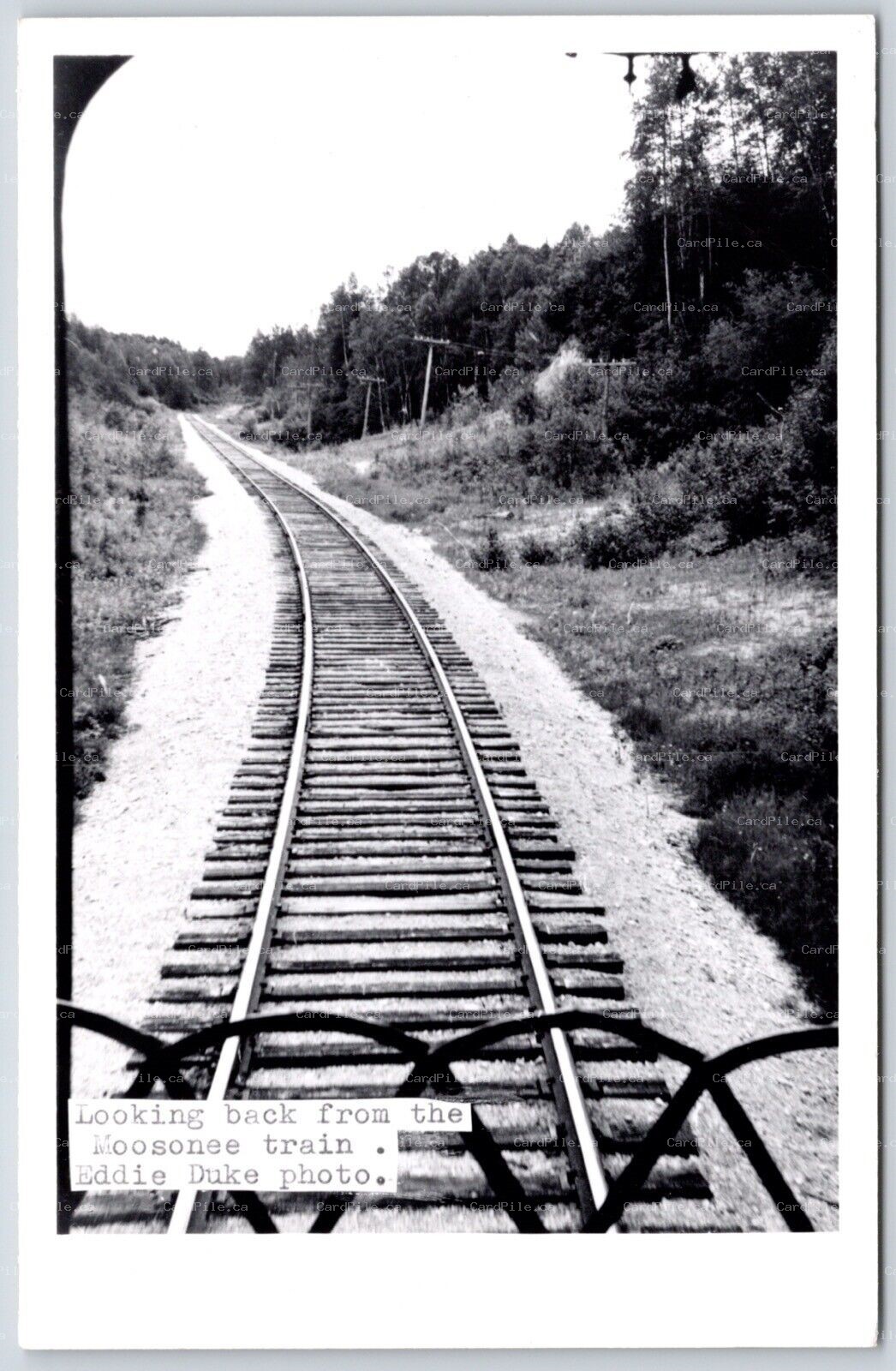 RPPC Moose Factory Island Ontario Looking Back Moosonee Train Eddie Duke