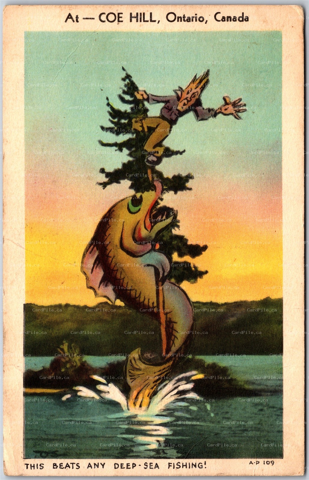 Postcard Coe Hill Ontario c1946 This Beats Any Deep Sea Fishing Humor Hastings