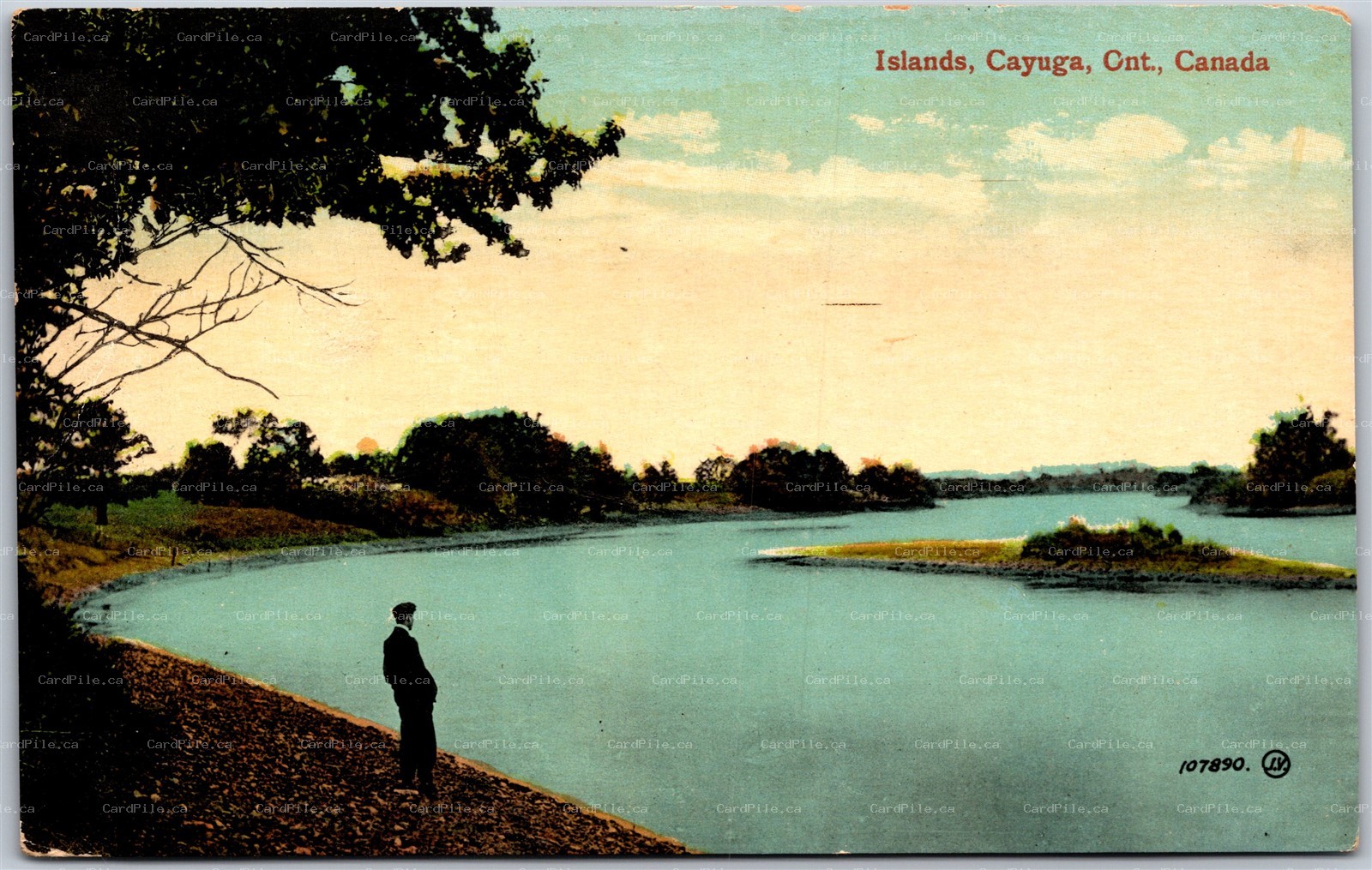 Postcard Cayuga Ontario c1913 Islands Scenic View Haldimand County