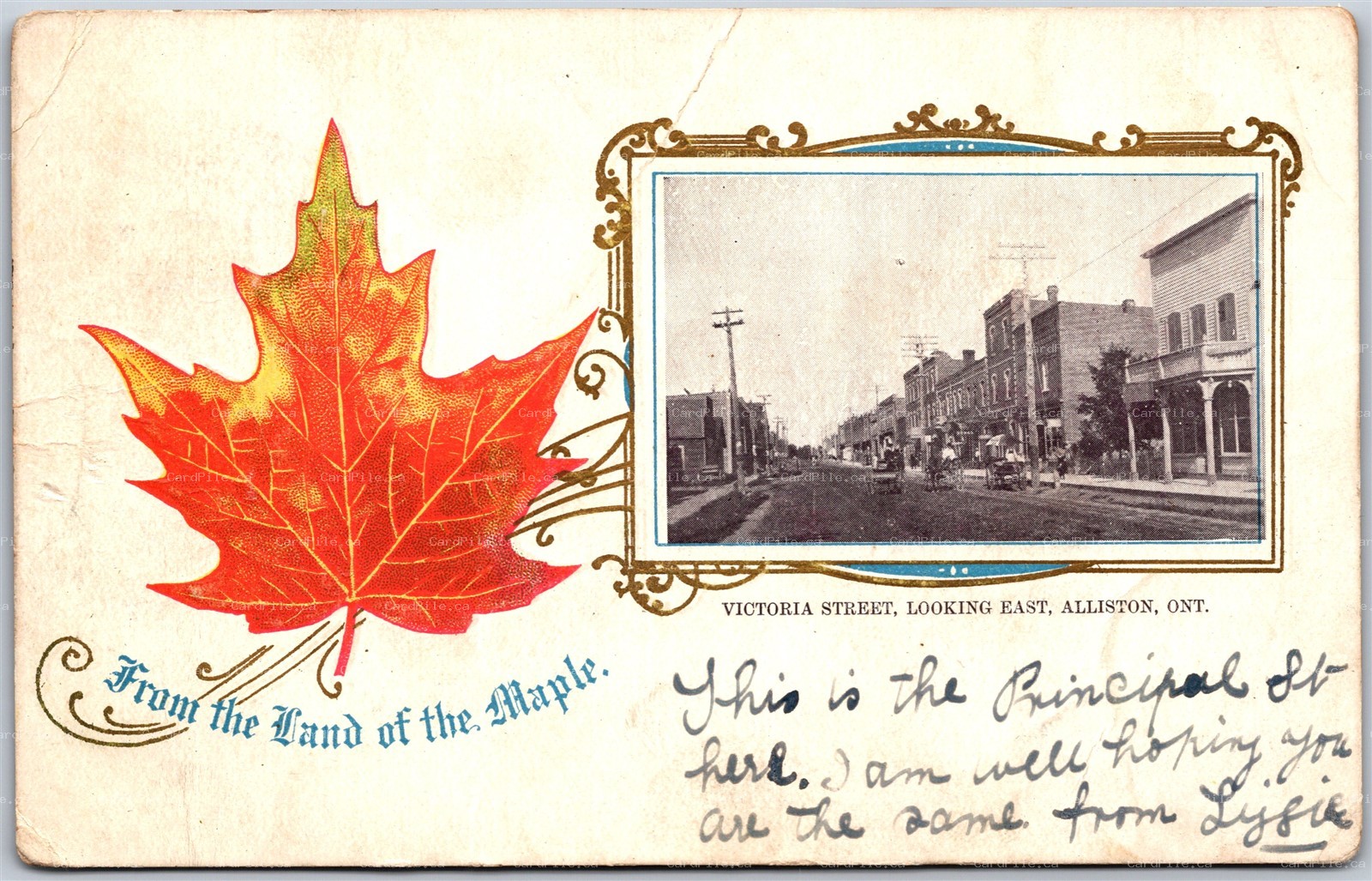 Postcard Alliston ONT 1906 Victoria Street Looking East Patriotic Land of Maple
