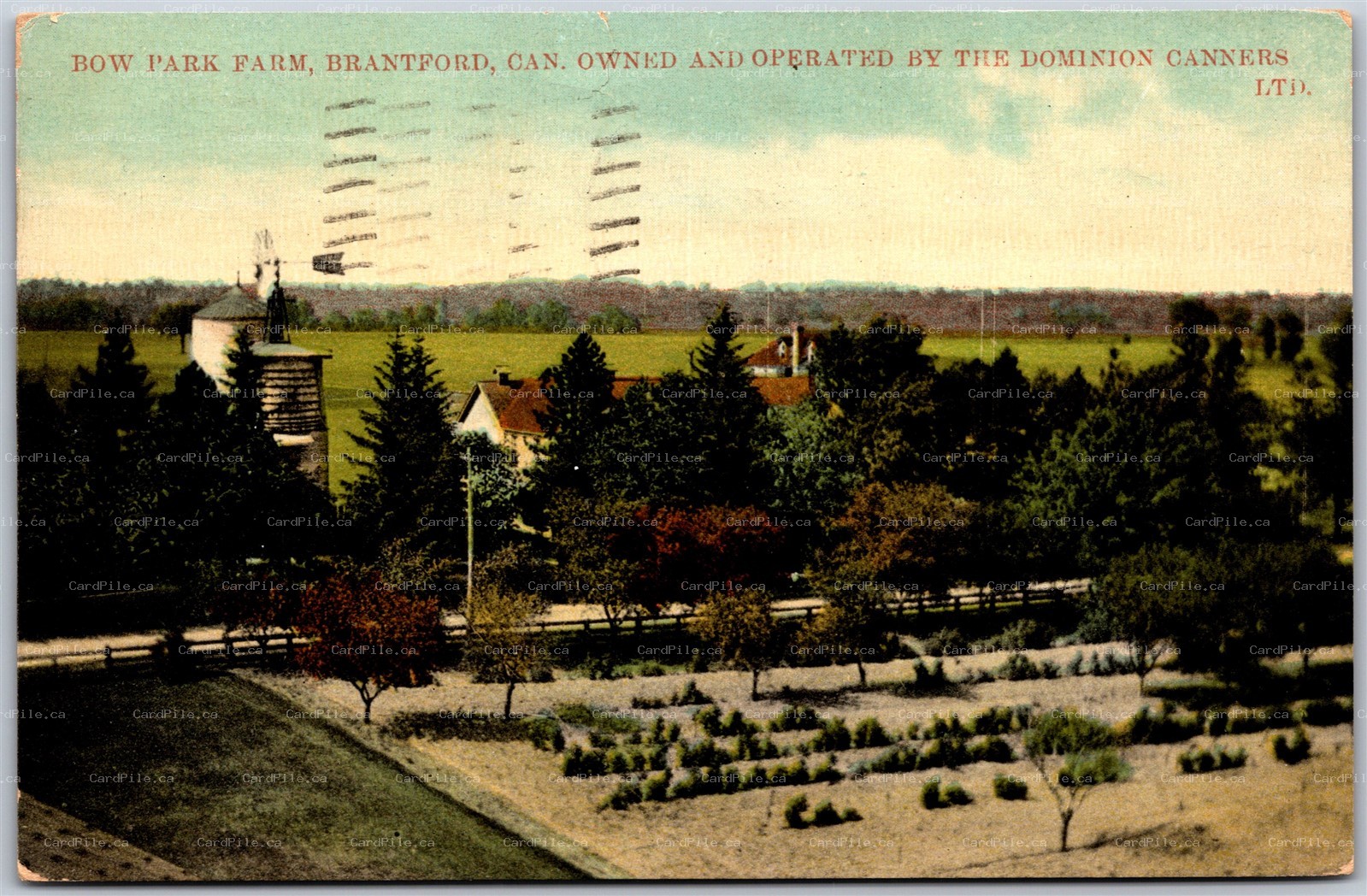 Postcard Brantford Ontario Bow Park Farm Owend by Dominion Canners LTD *as is*