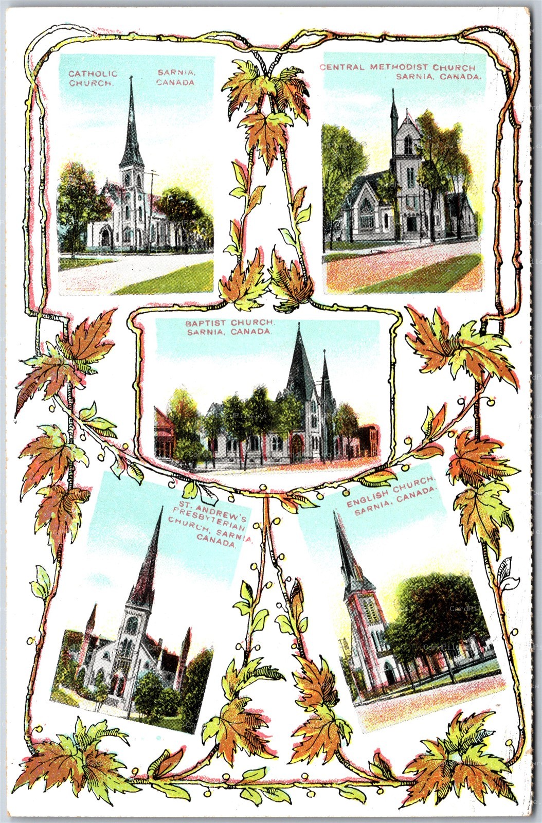 Postcard Sarnia Ontario c1910s Multi View 5 Churches Pretty Border by Nerlich