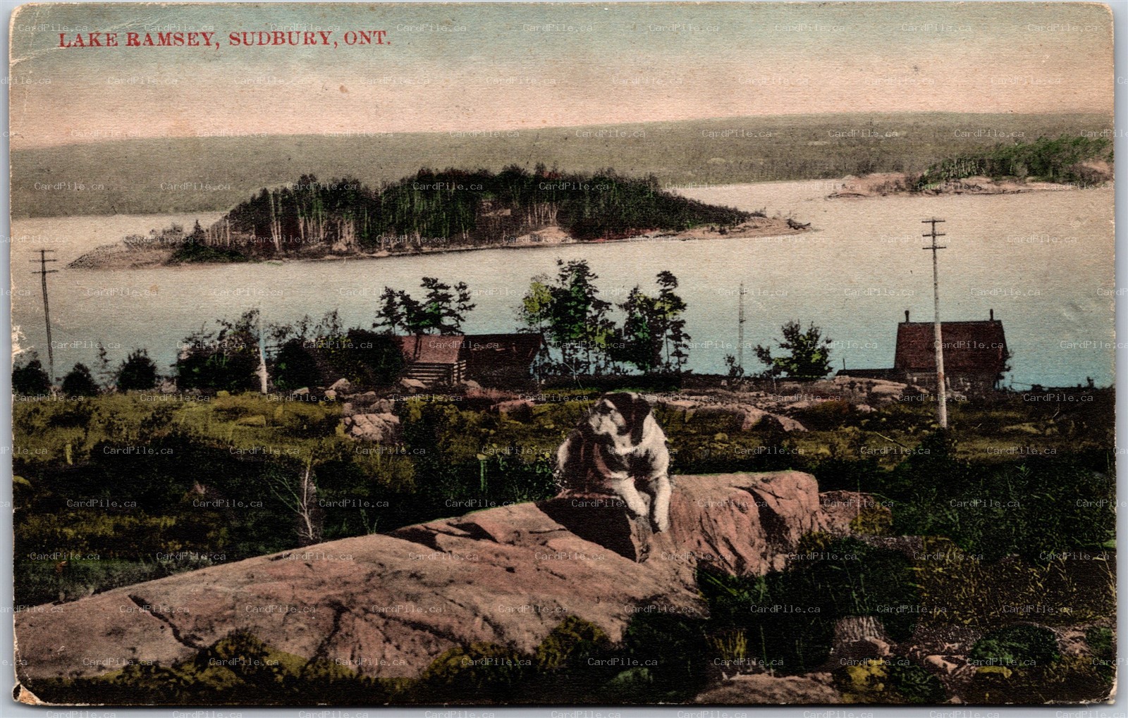 Postcard Sudbury Ontario c1909 Lake Ramsey Scenic View by Stedman Bros. *as is*