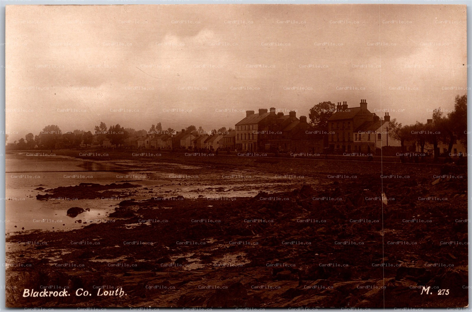 Postcard RPPC Blackrock Ireland Louth County Main Street Shore Shops