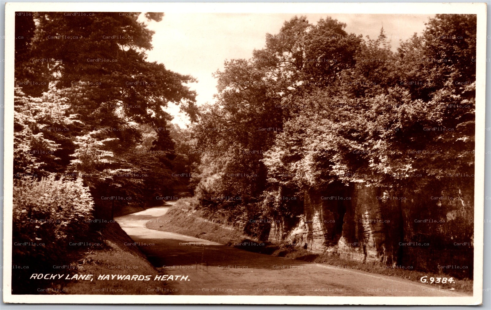 Postcard RPPC Haywards Heath England Rocky Lane West Sussex