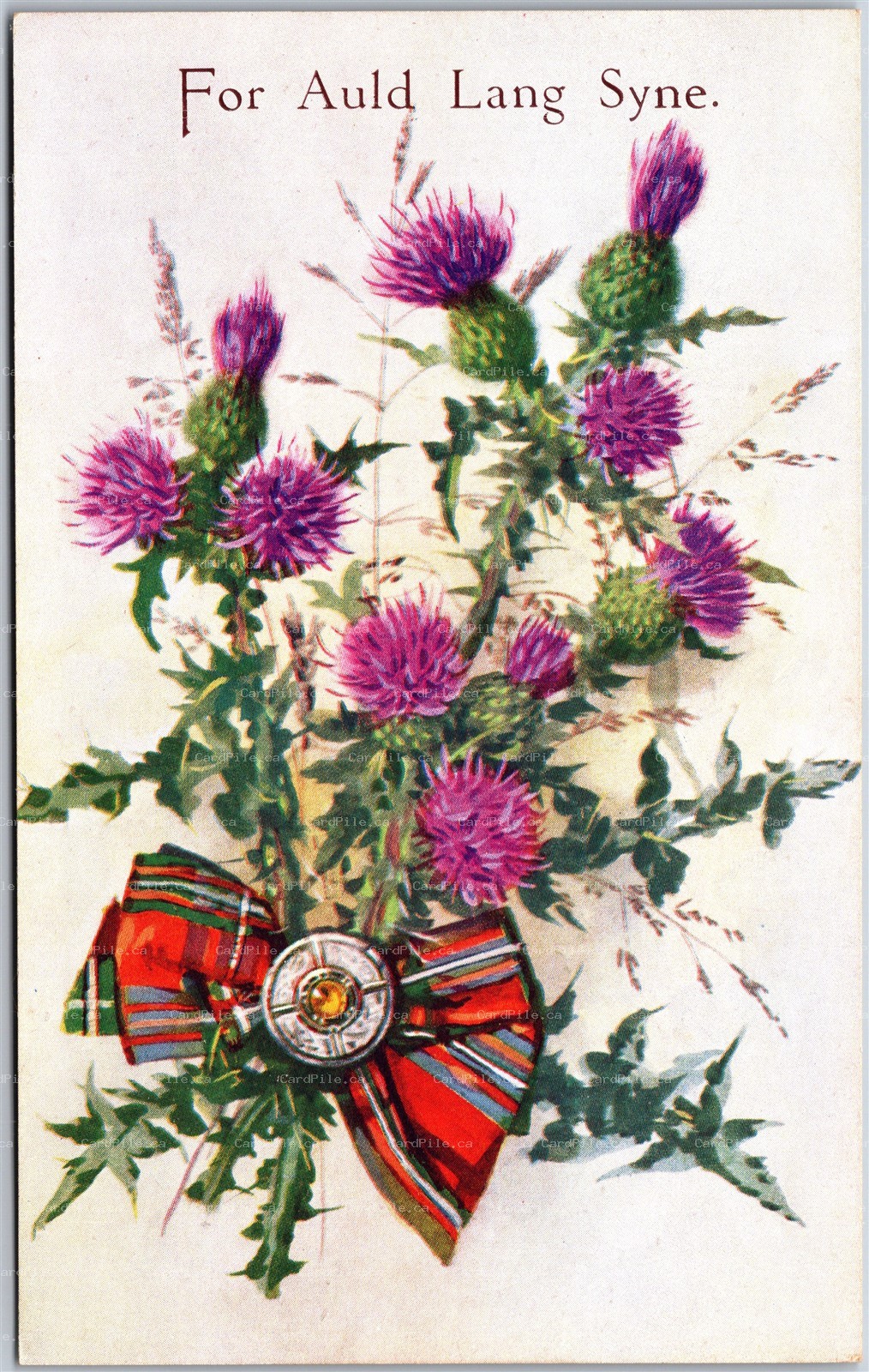 Postcard Scottish Emblems For Auld Land Syne Thistle Tartan Bow Tie