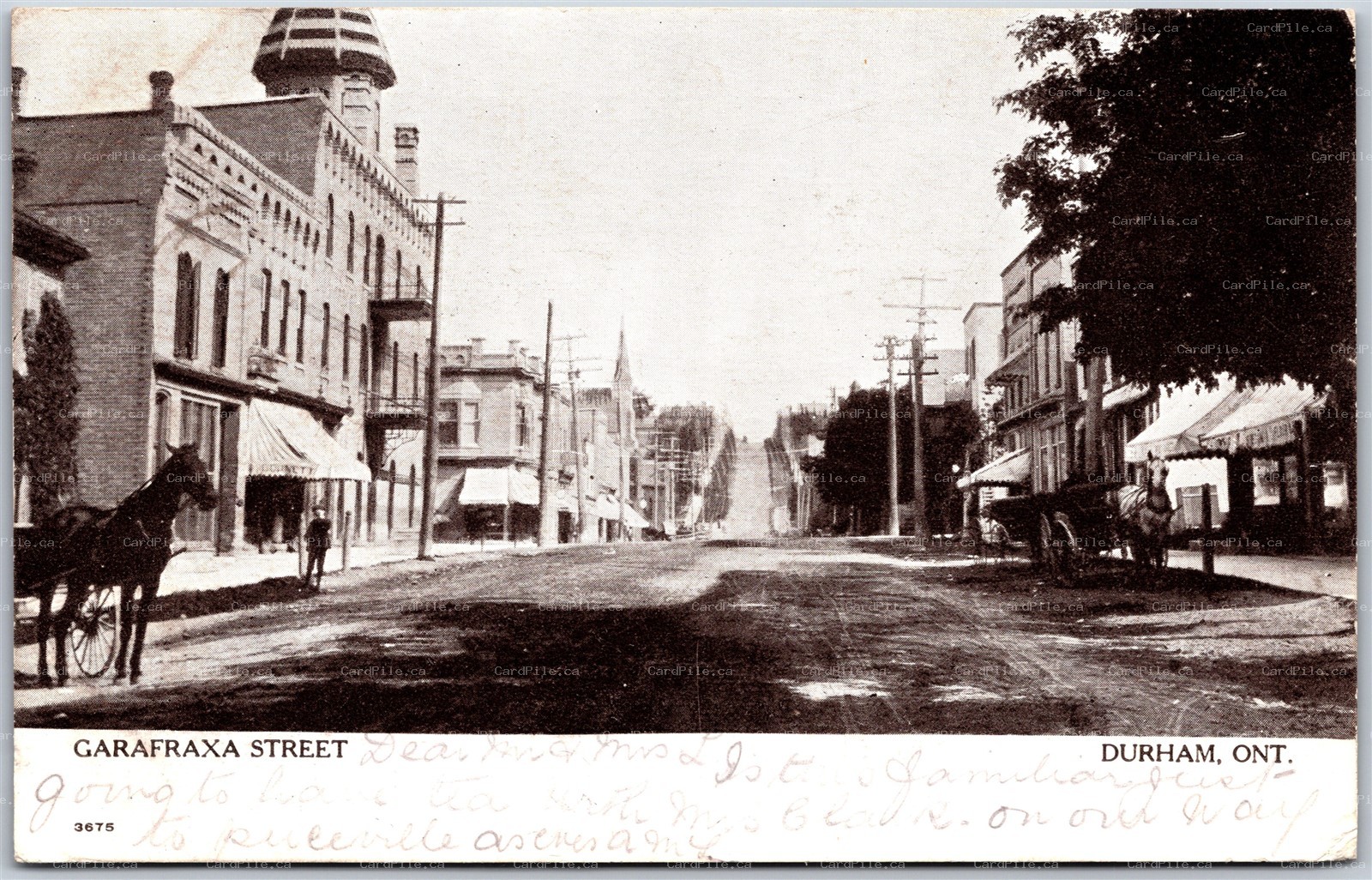 Postcard Durham Ontario c1907 Garafraxa Street Horse Carriages Grey County