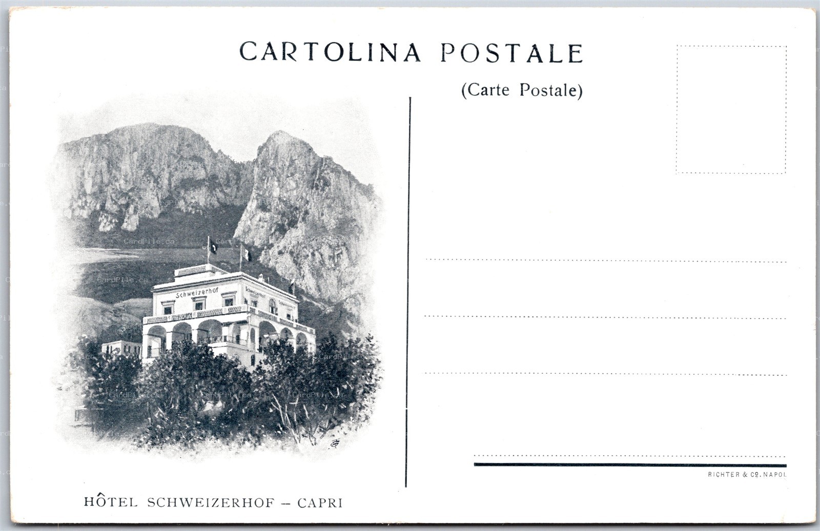 Postcard Capri Italy c1900s Hotel Schweizerhof by Richter & Co. Napoli