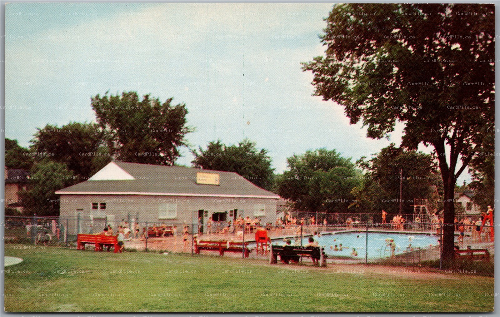 Postcard Lindsay Ontario The Community Swimming Pool and Park Kawartha Lakes
