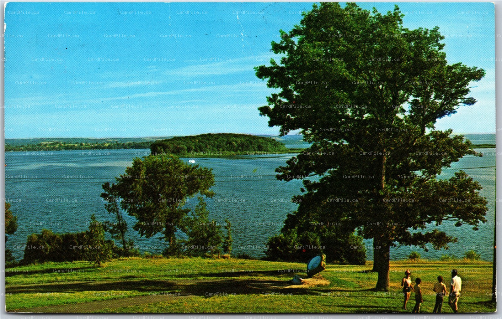 Postcard Keene Ontario c1986 View of Rice Lake Serpent Mounds Provincial Park