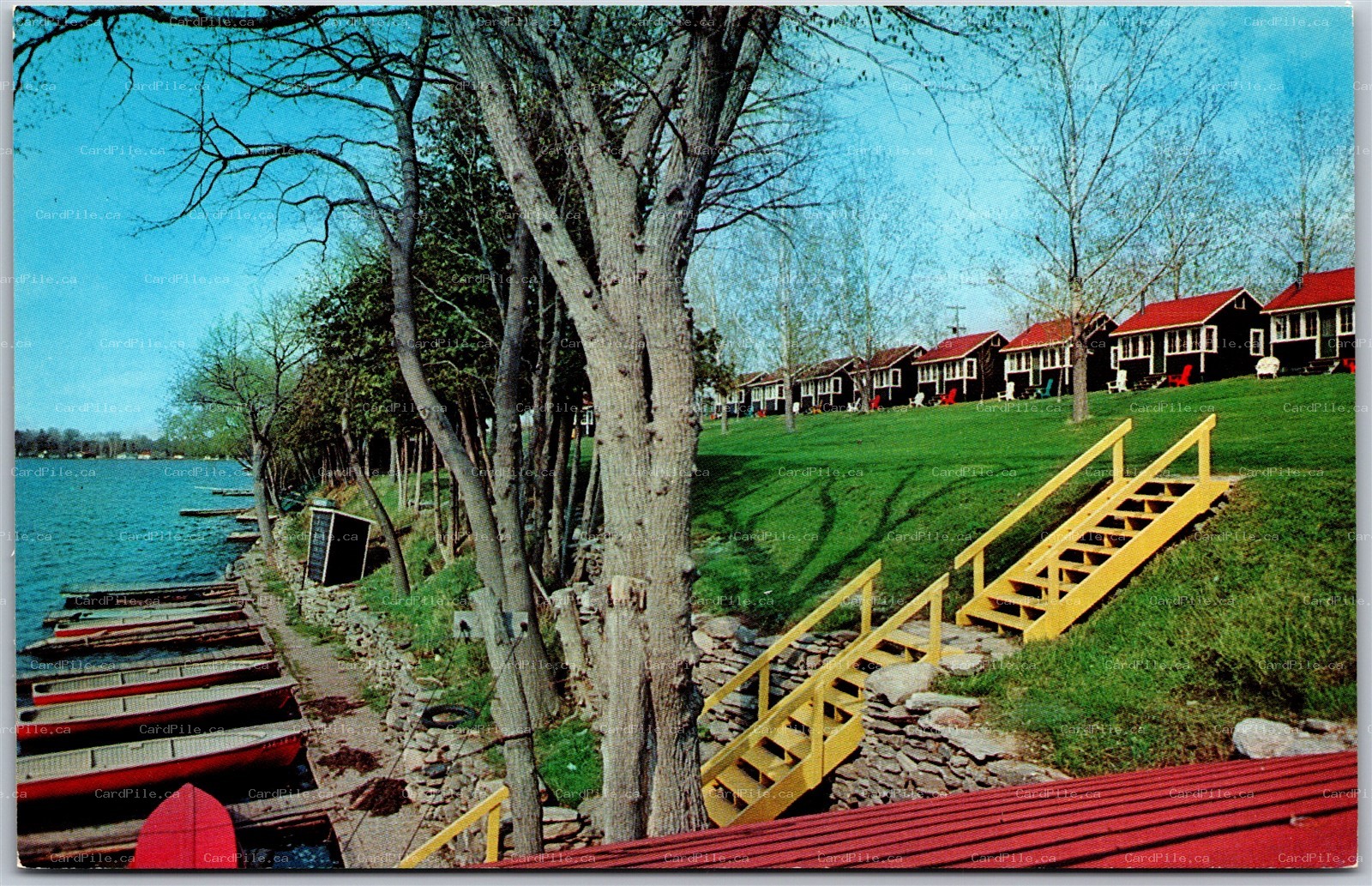 Postcard Lindsay Ontario c1960s Carter's Cottages on Sturgeon Lake Fishing