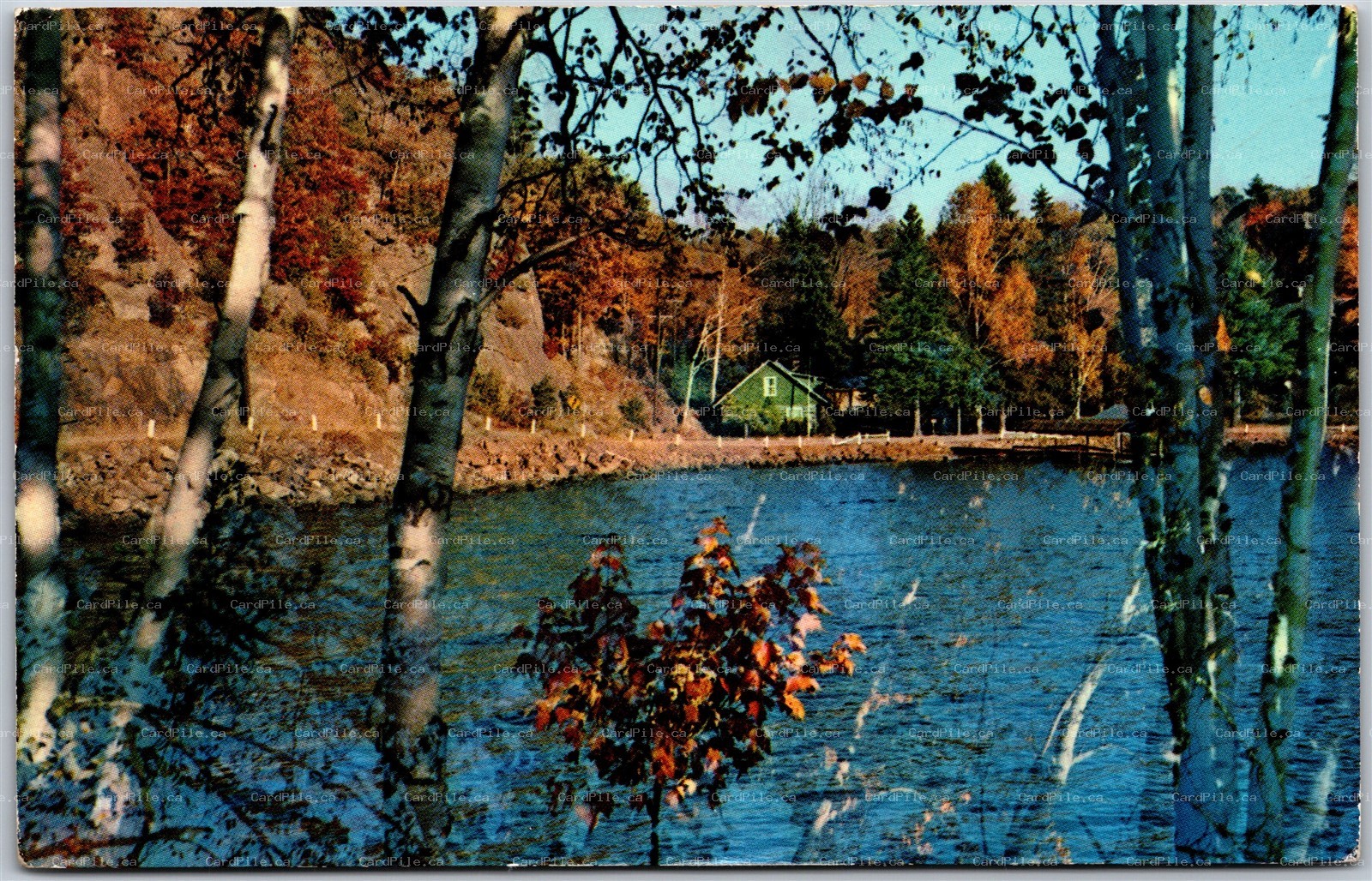 Postcard Greetings From Plaza Gift & Sport Co. Parry Sound Ontario Scenic View