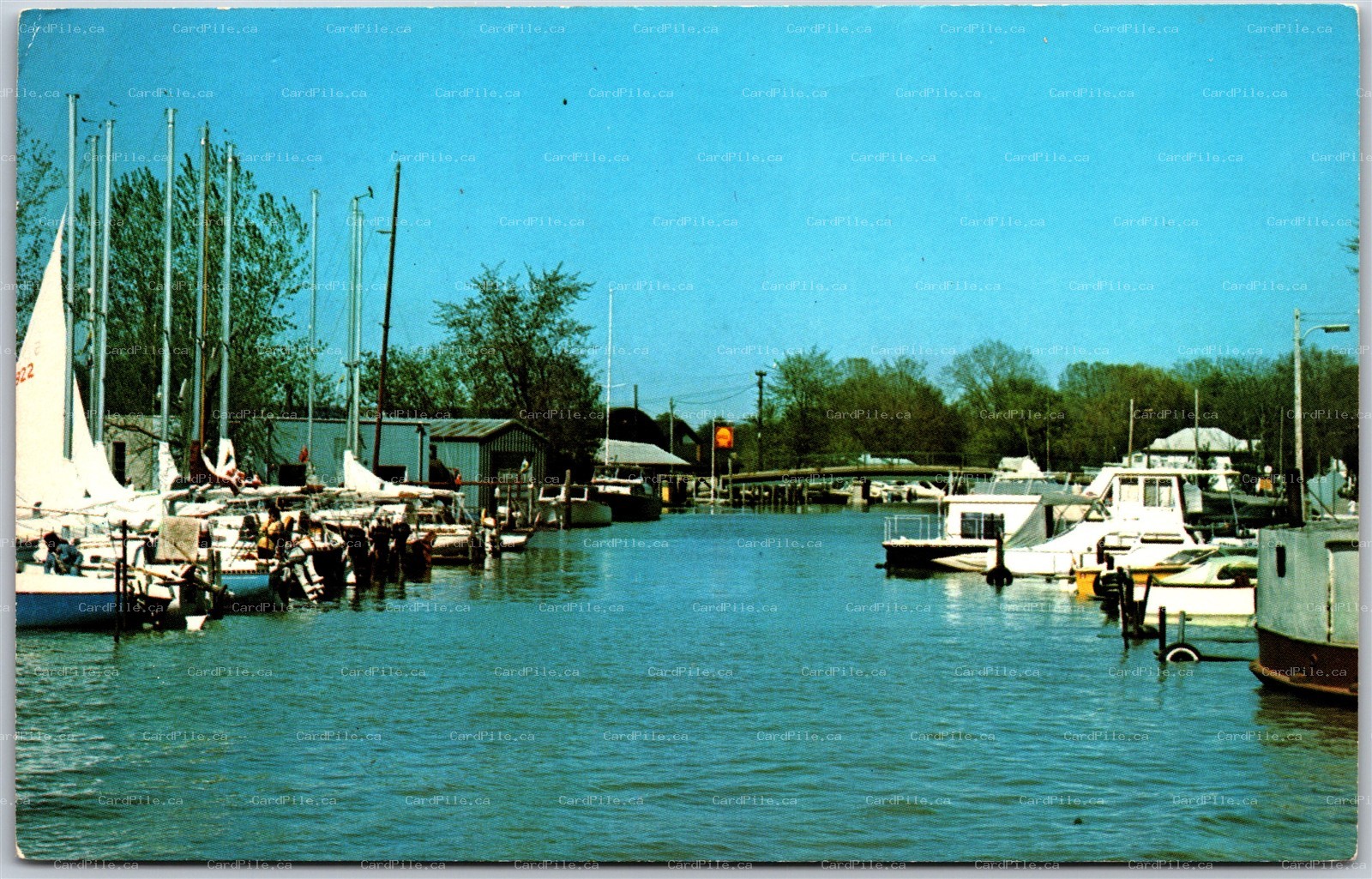 Postcard Kingsville Ontario c1970s Cedar Island Marina Boats Shell Essex County