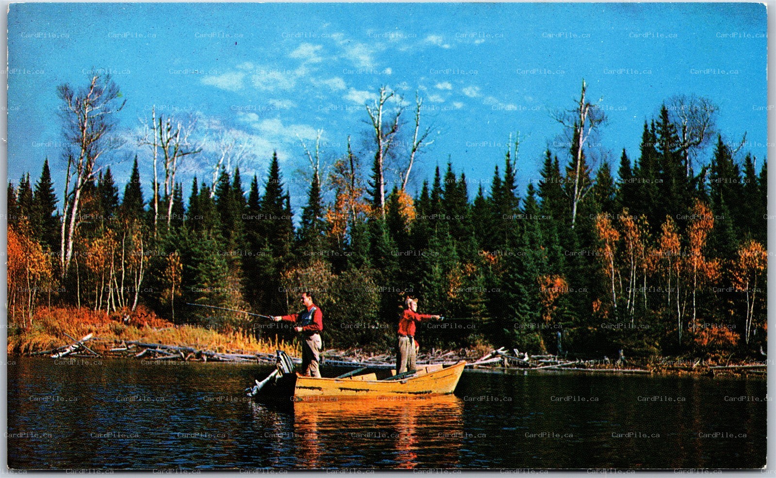 Postcard Campbellford Ontario Scenic View First Cast Of the Day Men Fishing